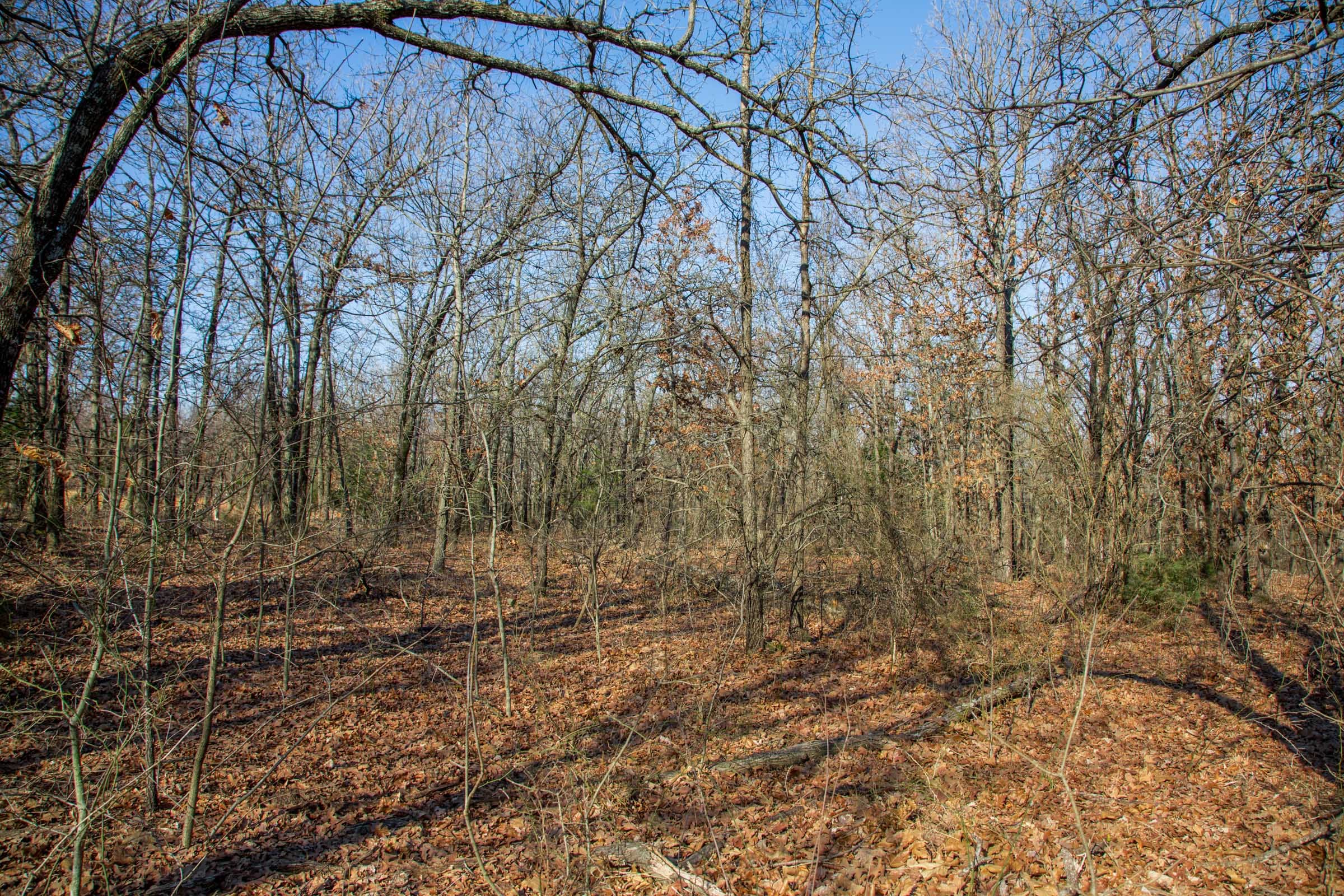 Eufaula Cove Tract 19 photo 11