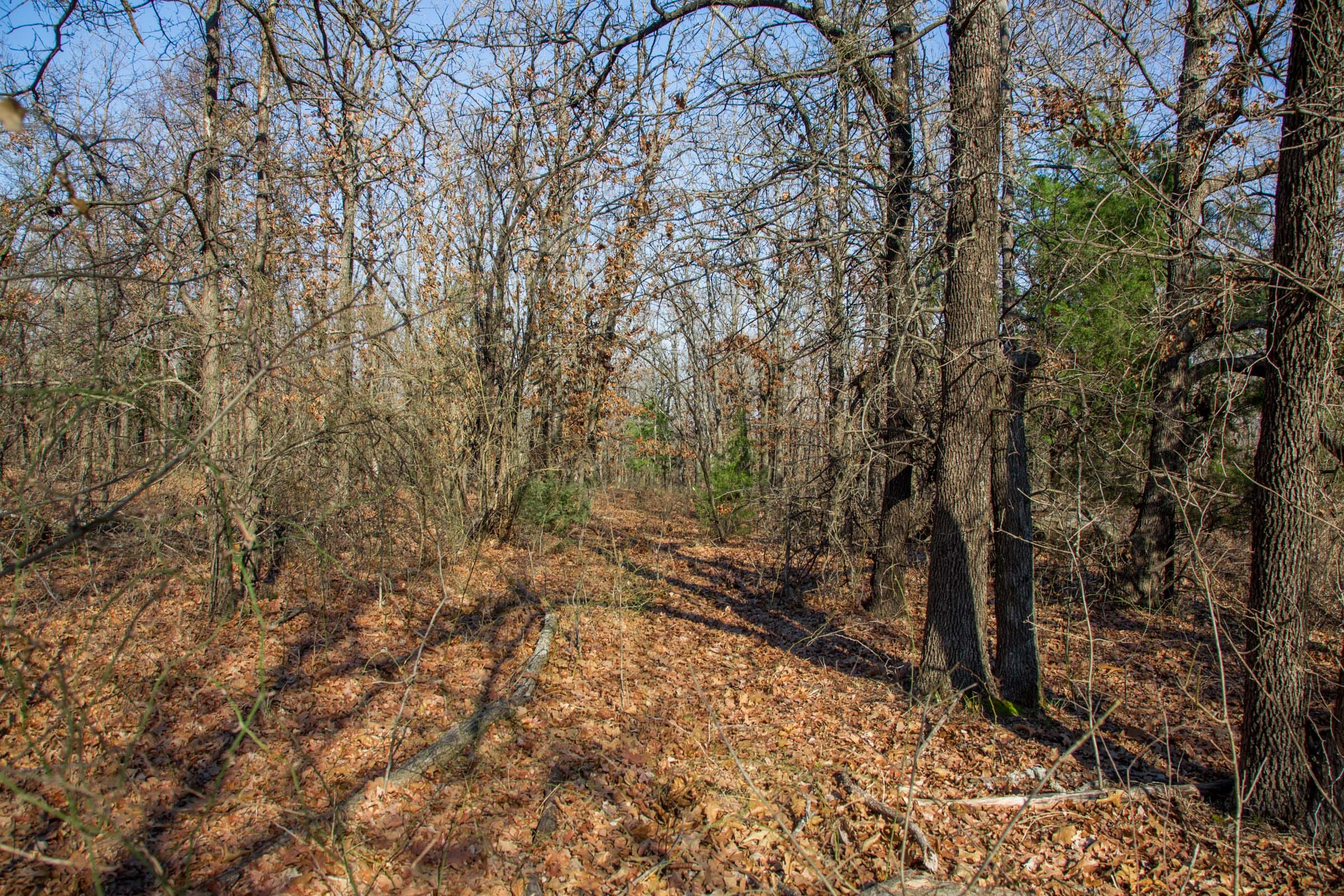 Eufaula Cove Tract 19 photo 12