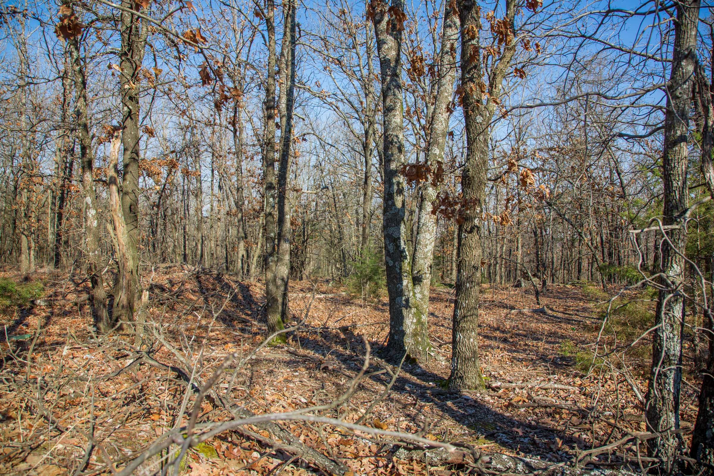 Eufaula Cove Tract 19 photo 15