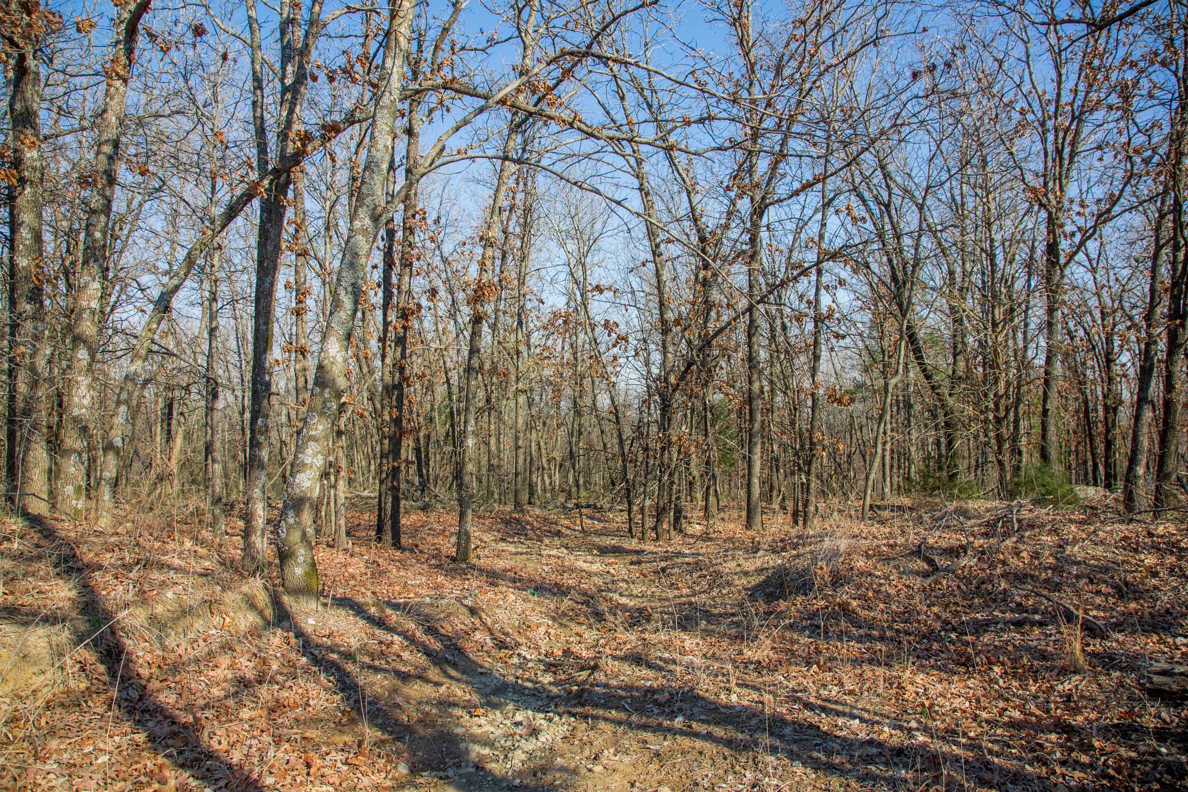 Eufaula Cove Tract 19 photo 16
