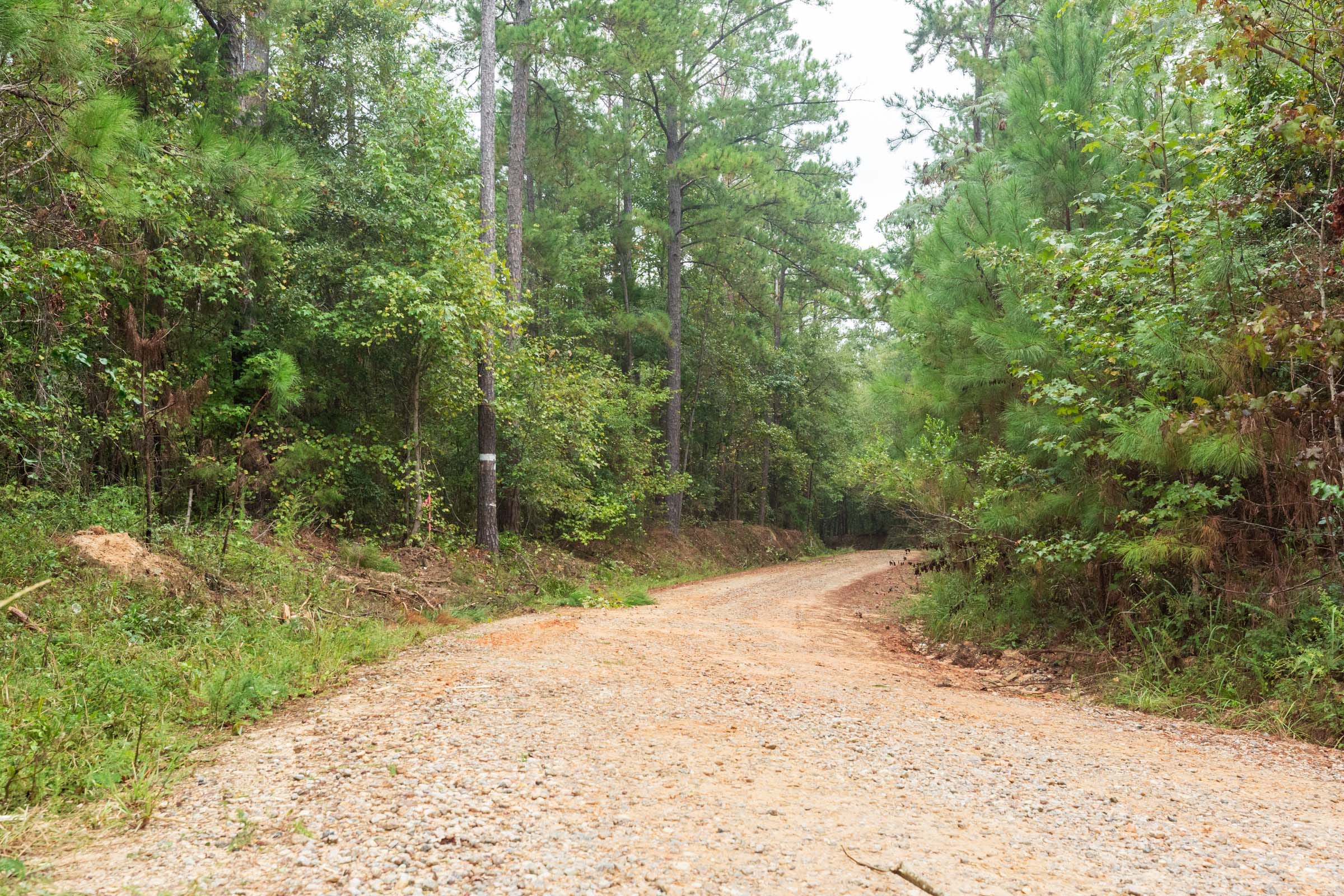 Jackson’s Gap Tract 3 photo 3
