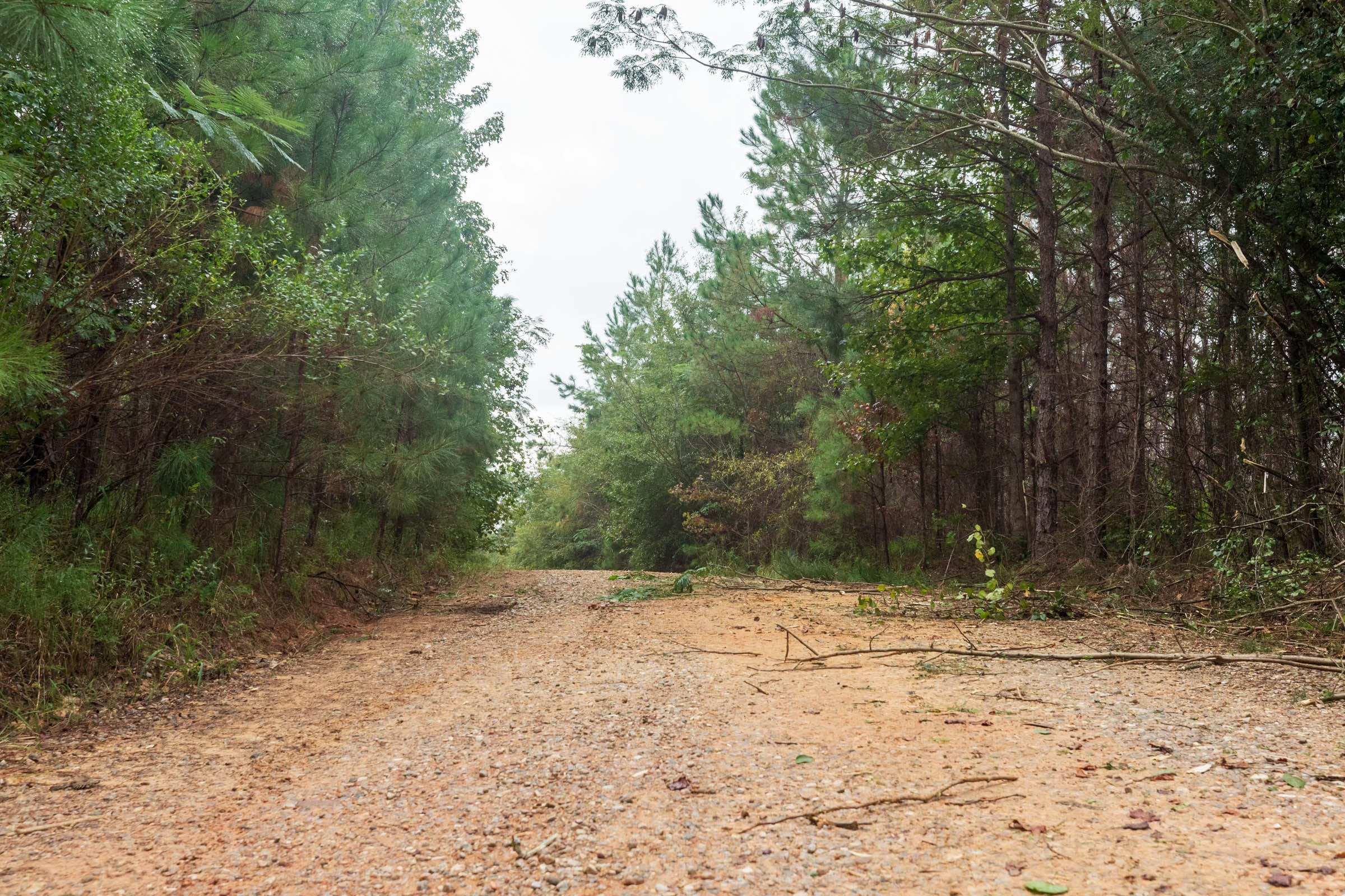 Jackson’s Gap Tract 3 photo 9