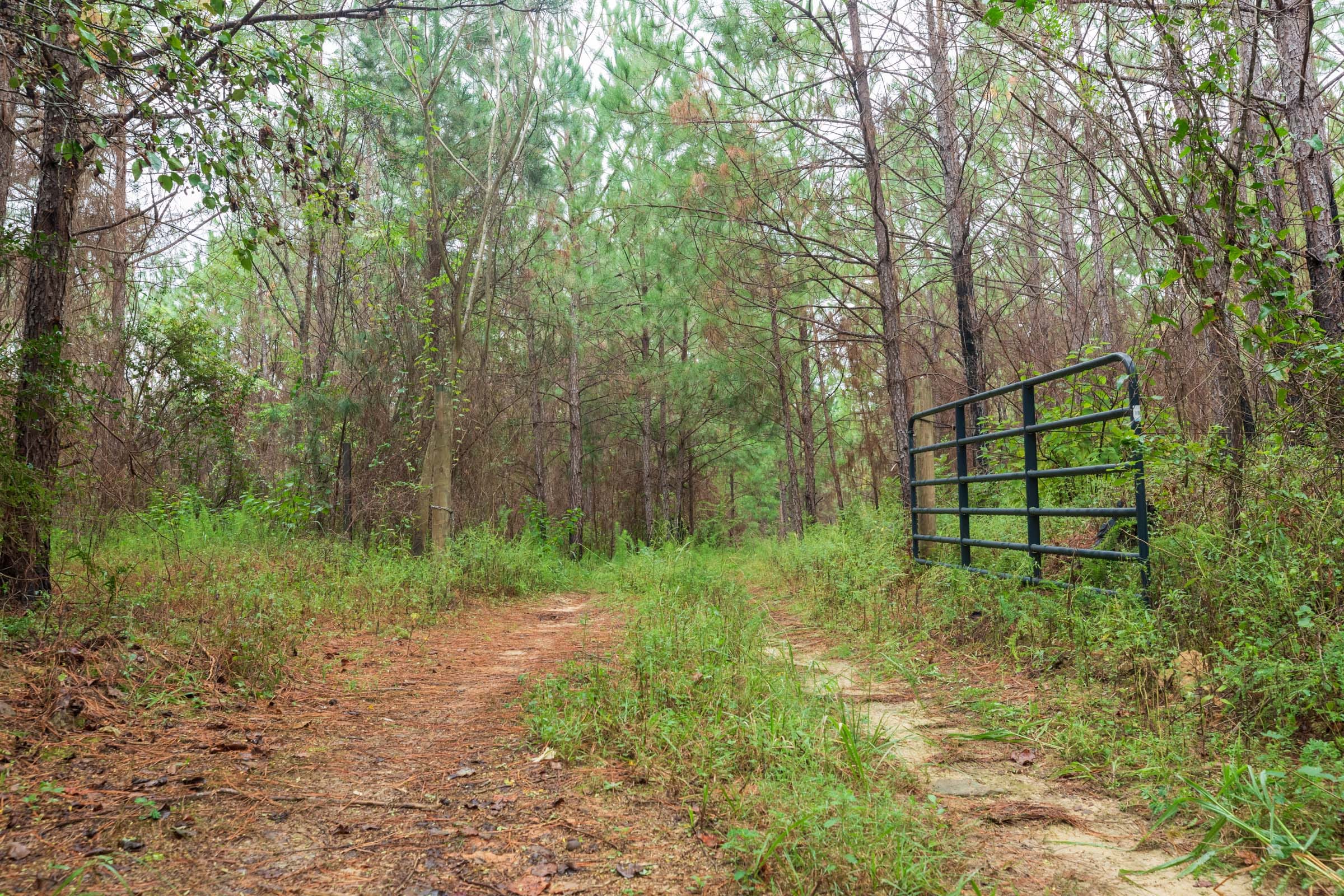 Jackson’s Gap Tract 3 photo 6