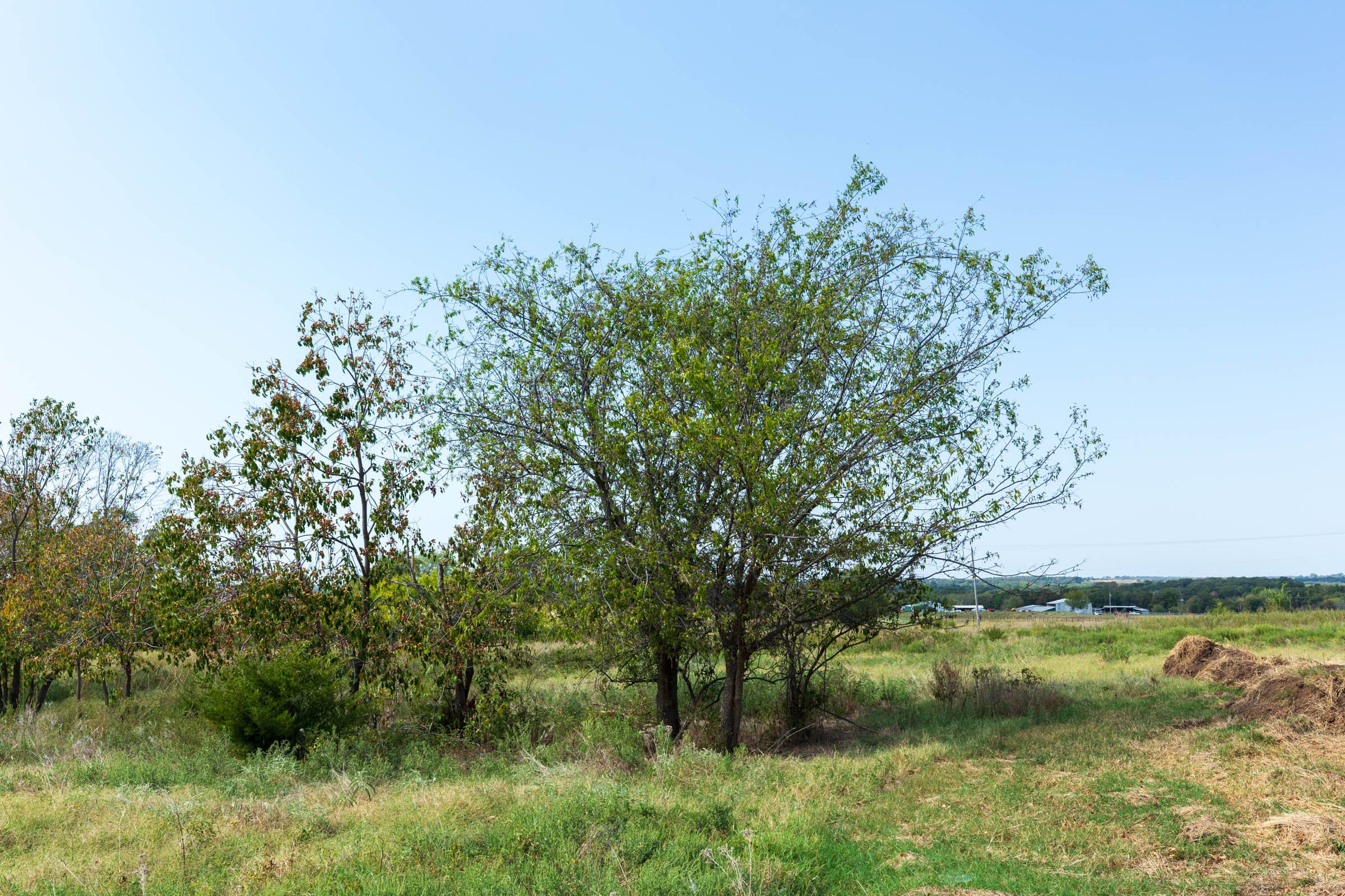 Canyon Creek Tract 5 photo 12