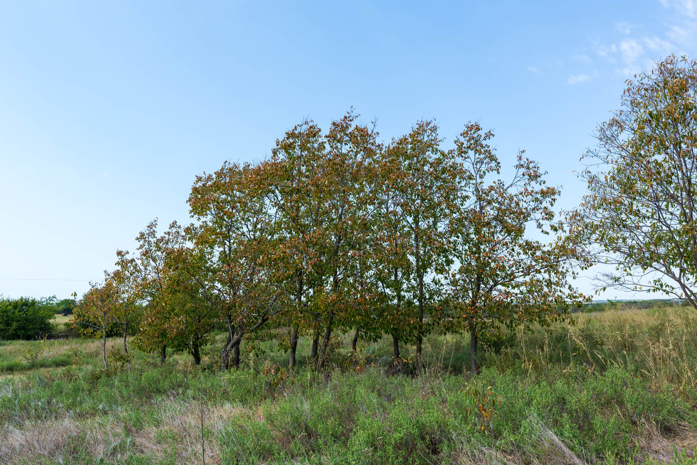 Canyon Creek Tract 5 photo 14
