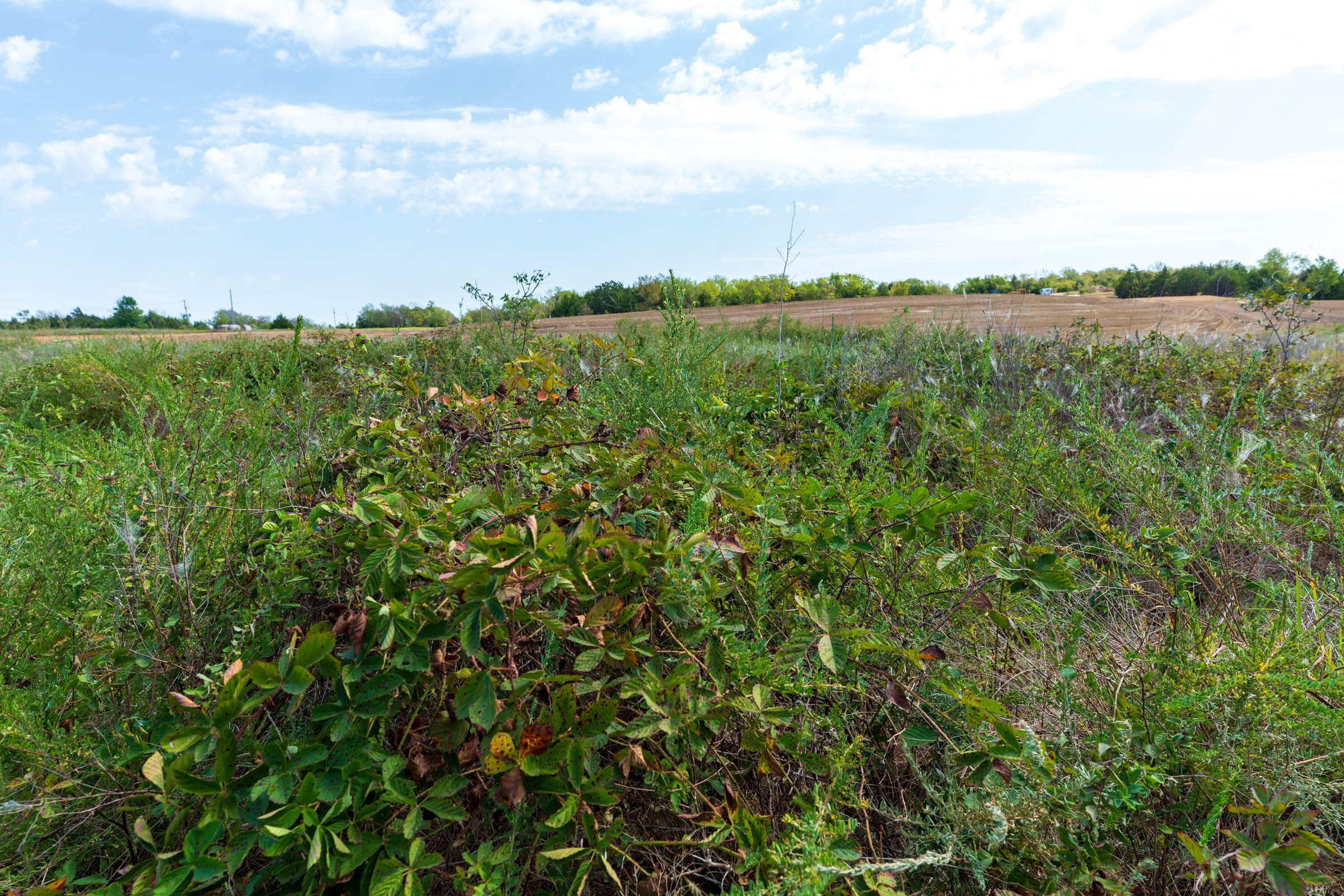 Canyon Creek Tract 5 photo 13