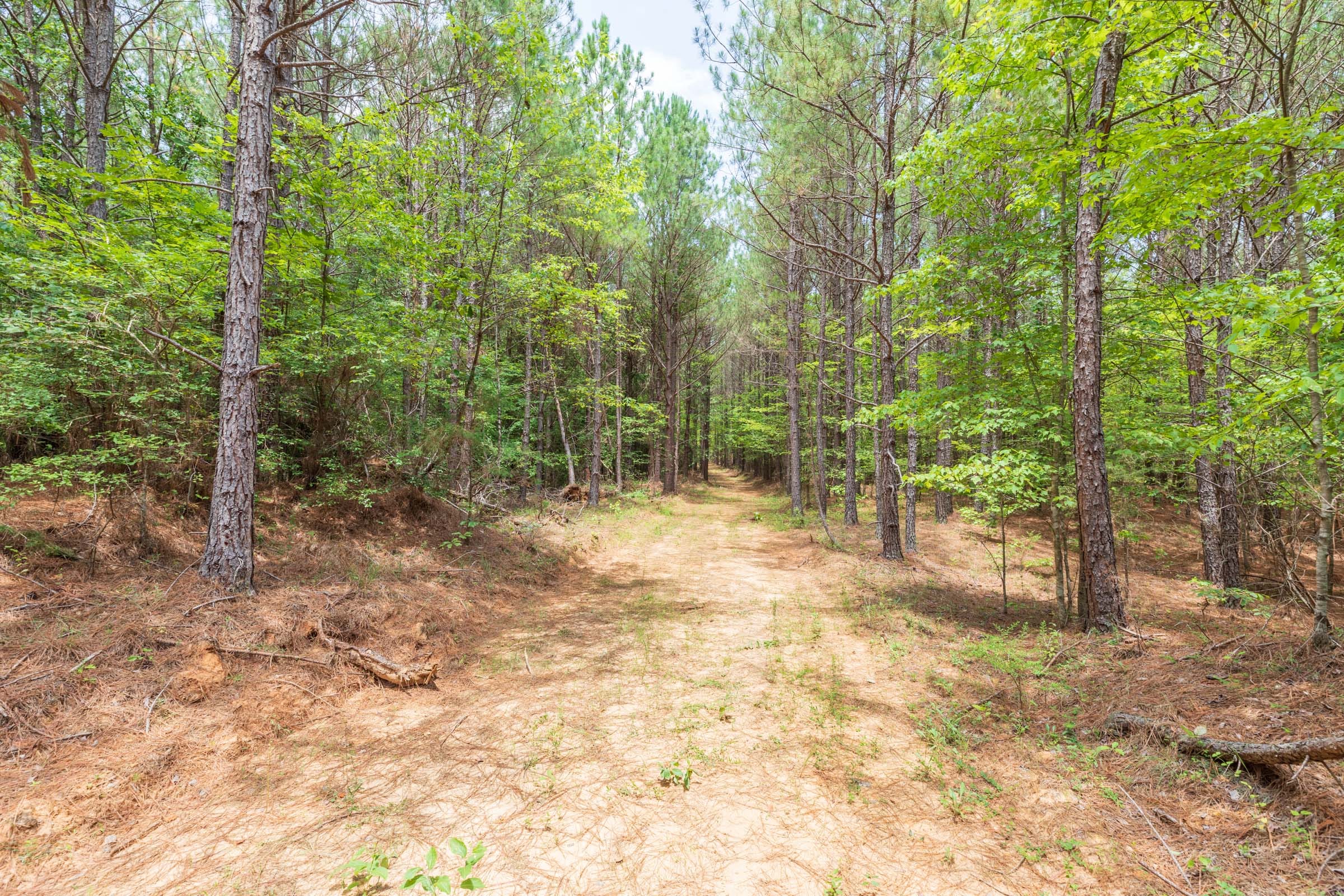 Whiskey Ridge Tract 24 photo 6