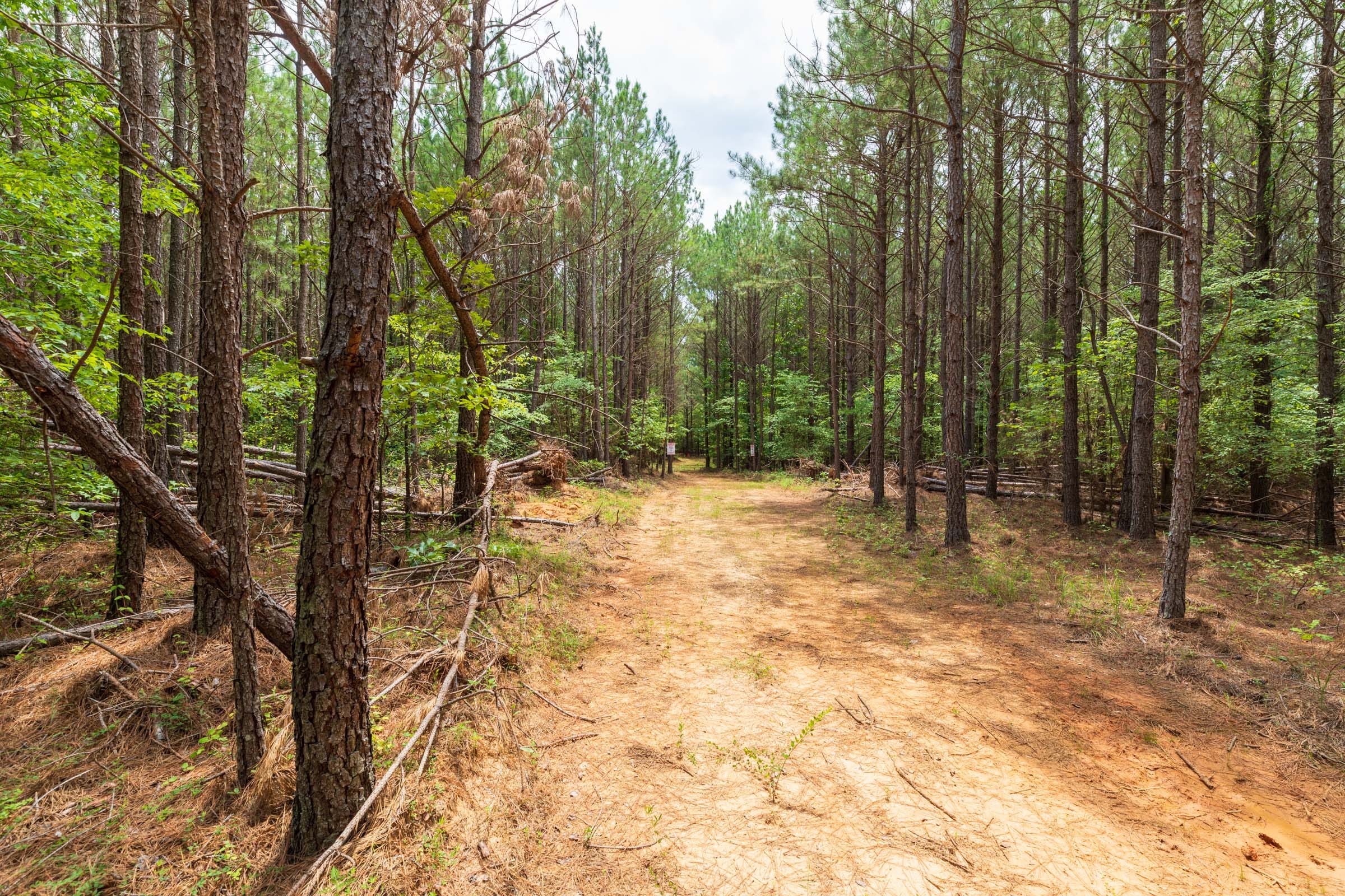 Whiskey Ridge Tract 24 photo 2