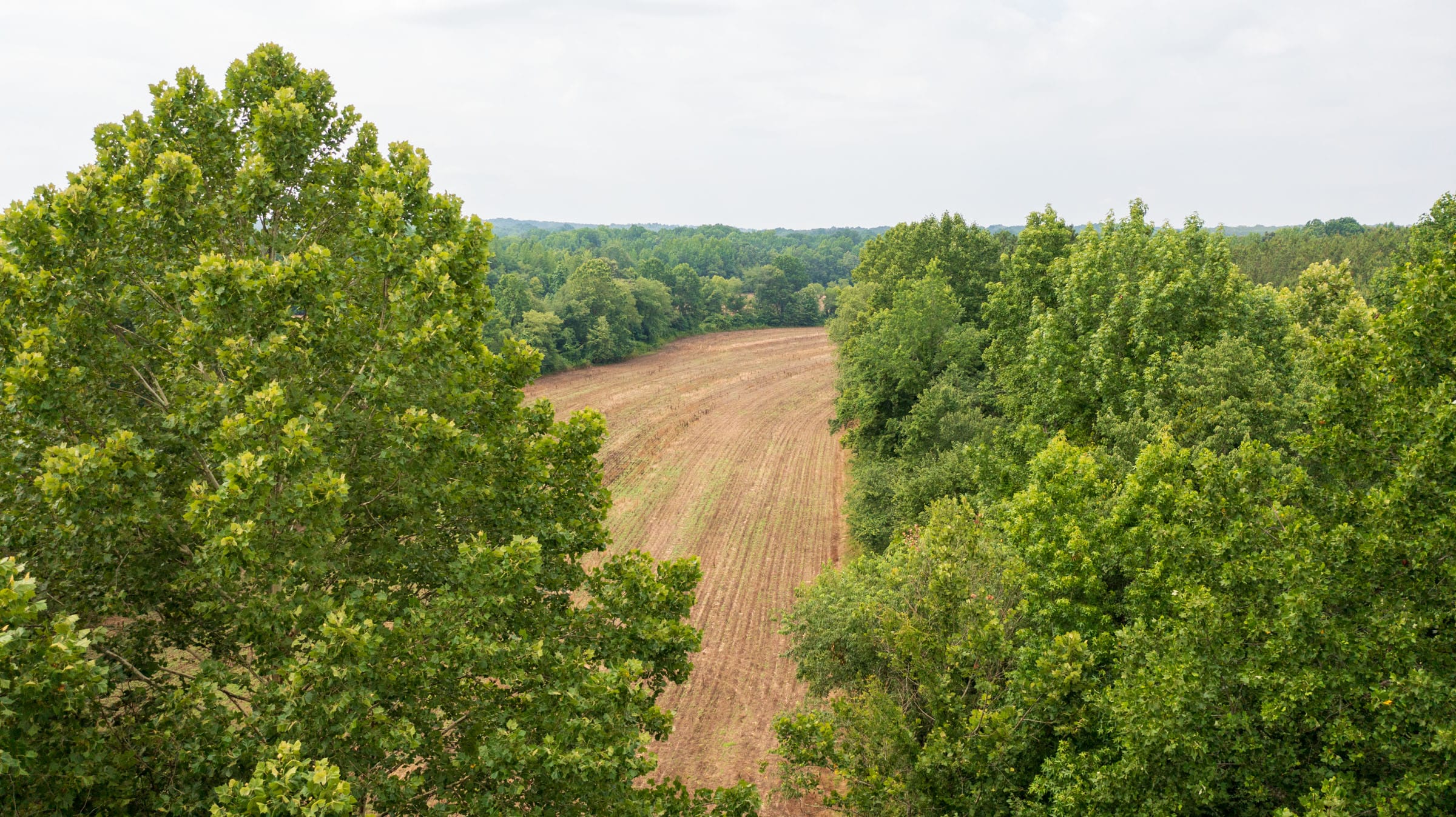 Whiskey Ridge Tract 24 photo 11