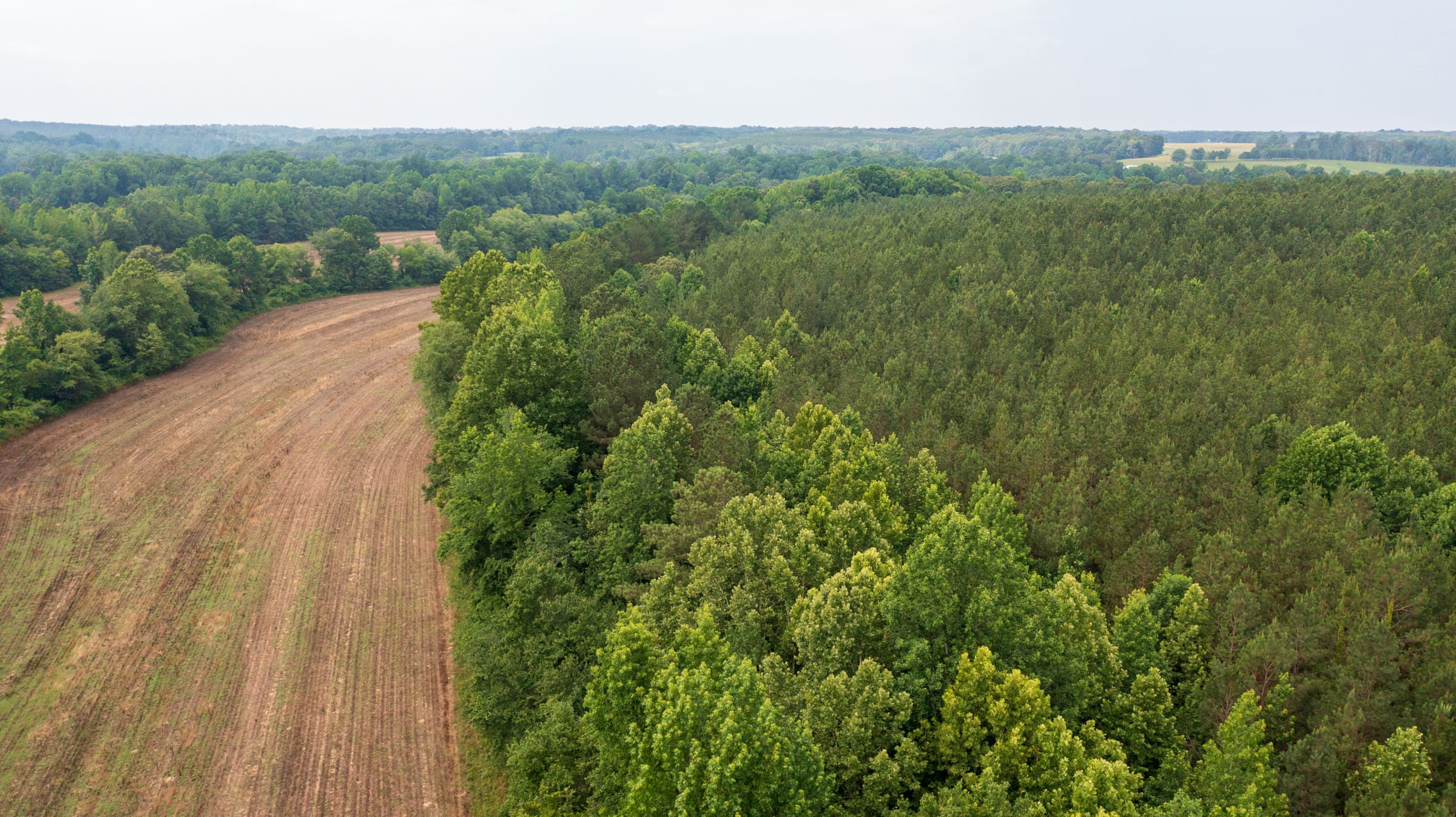 Whiskey Ridge Tract 24 photo 12