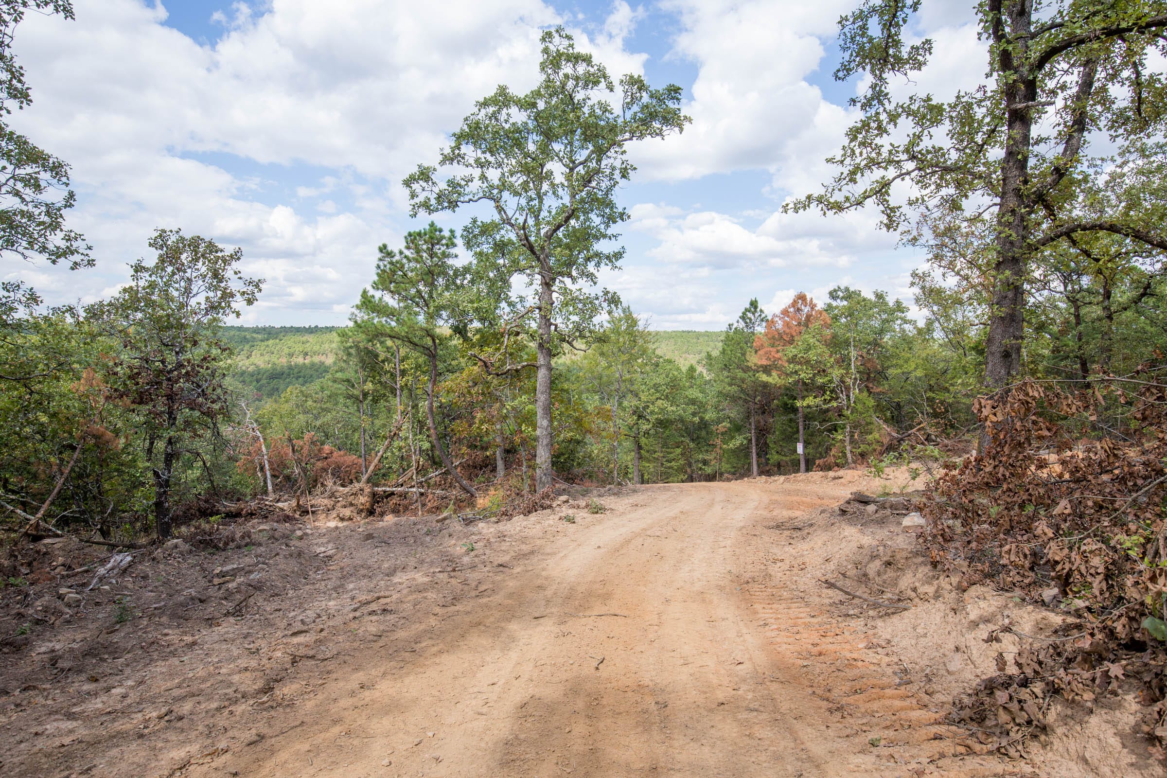 Stone Bridge Phase I Tract 46 photo 1