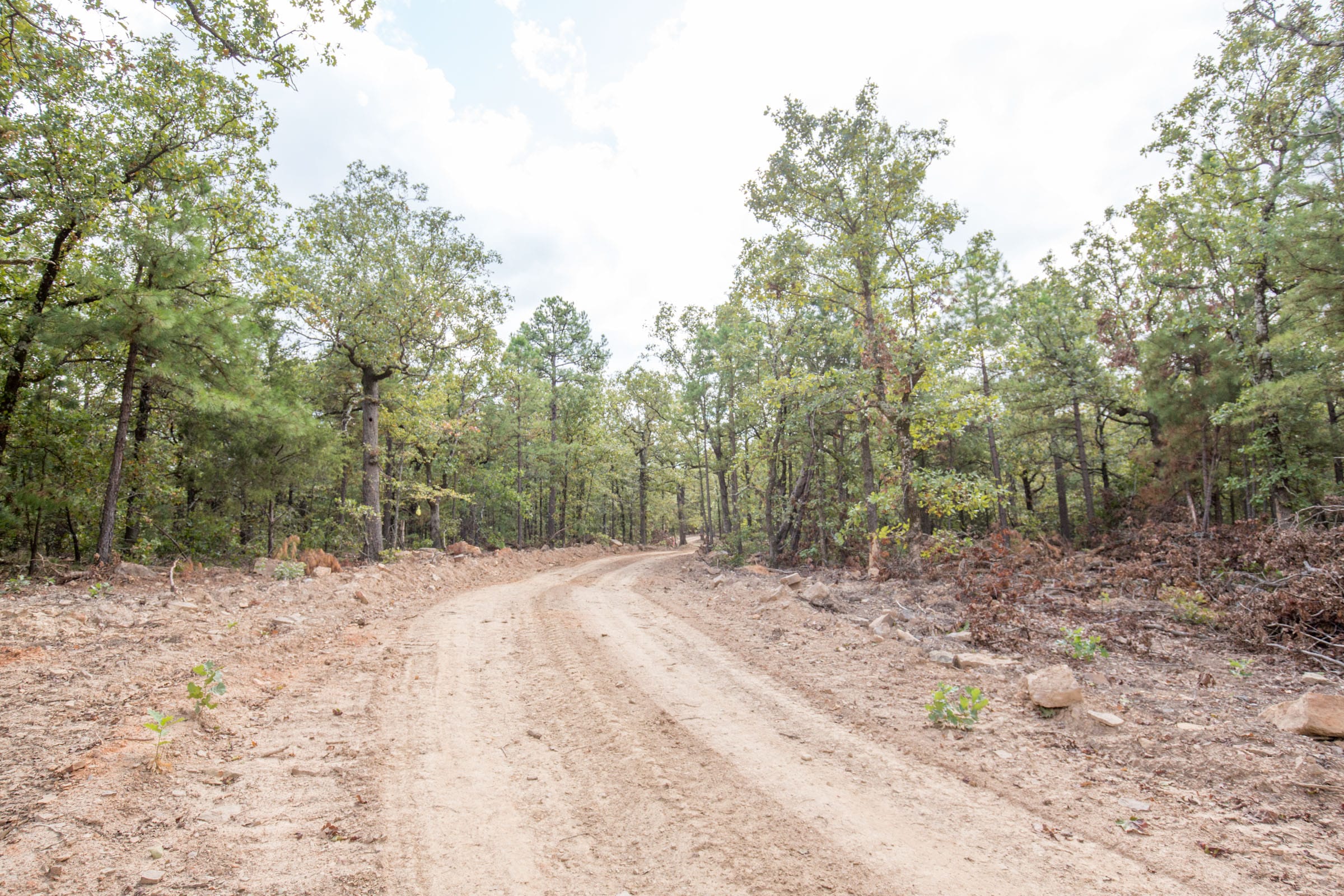 Stone Bridge Phase I Tract 46 photo 5