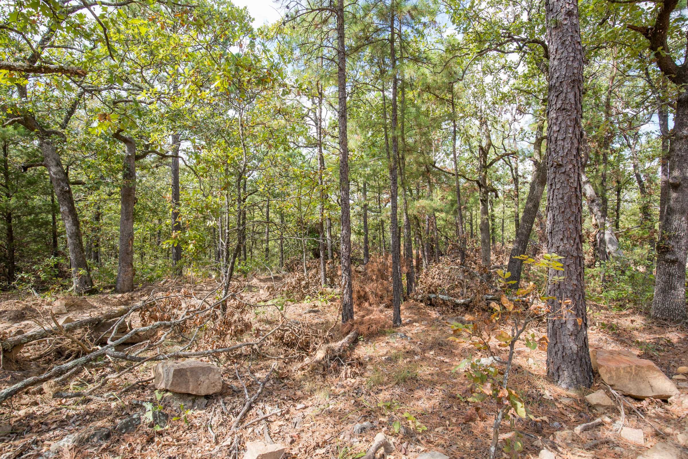 Stone Bridge Phase I Tract 46 photo 7
