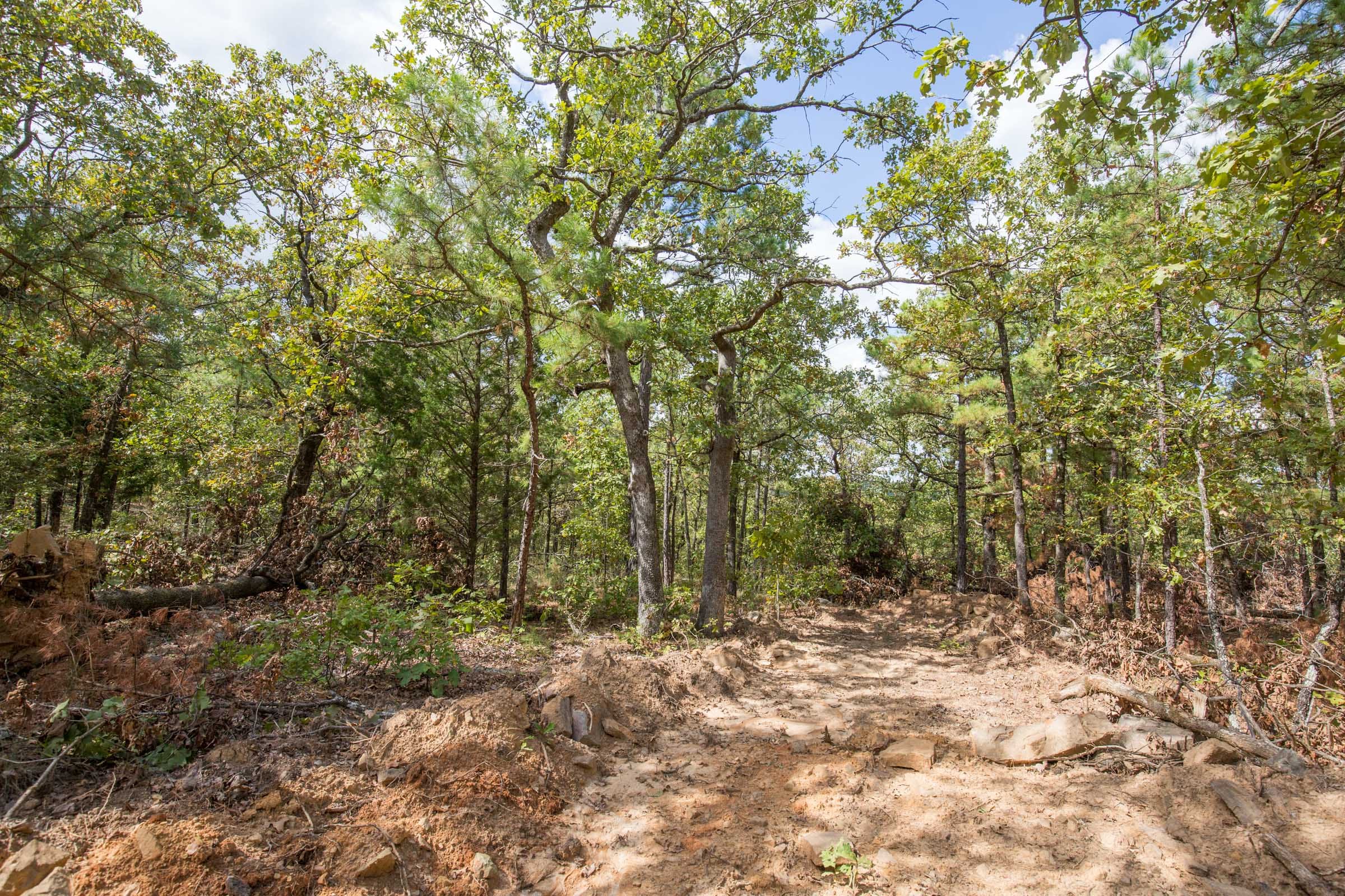 Stone Bridge Phase I Tract 46 photo 8
