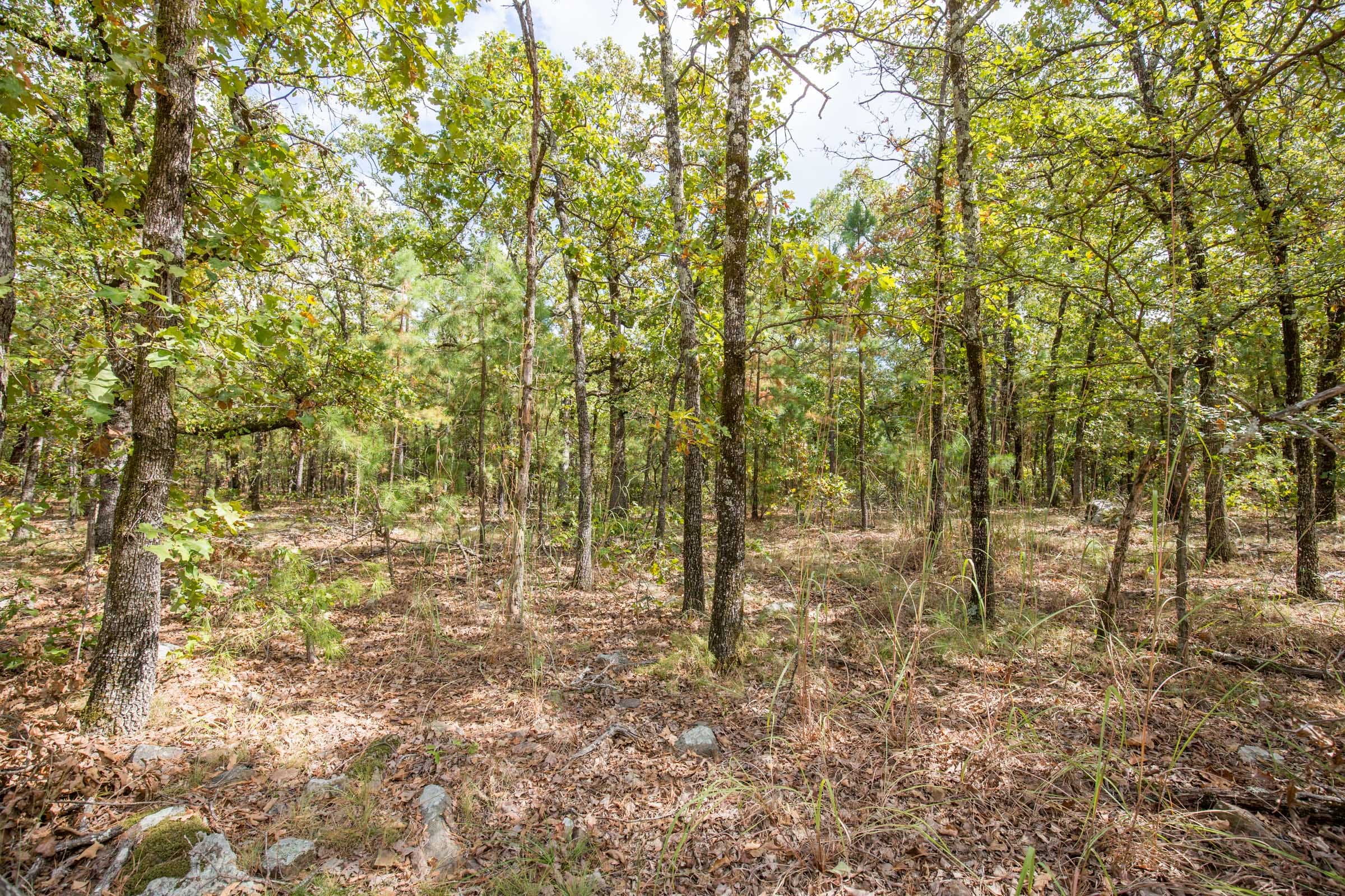 Stone Bridge Phase I Tract 46 photo 10