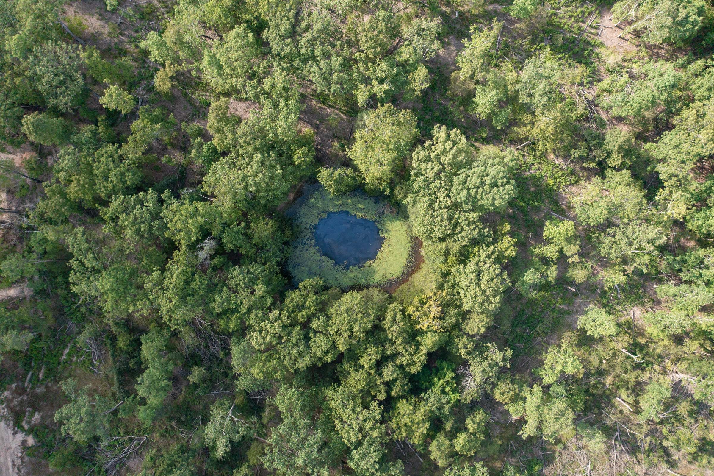 Wildwood Tract 25 photo 1