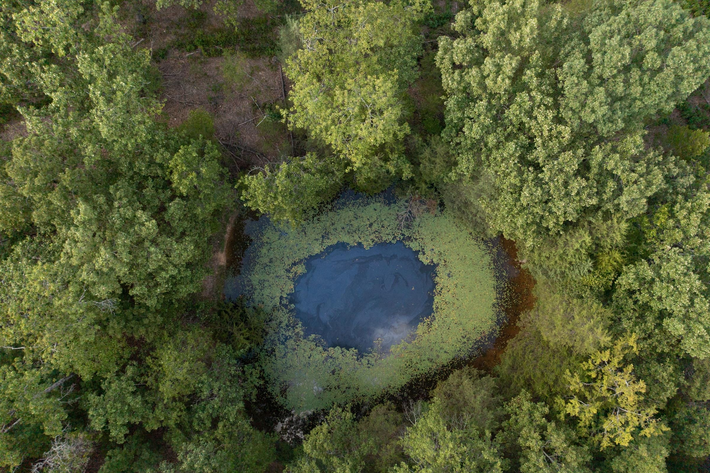 Wildwood Tract 25 photo 3
