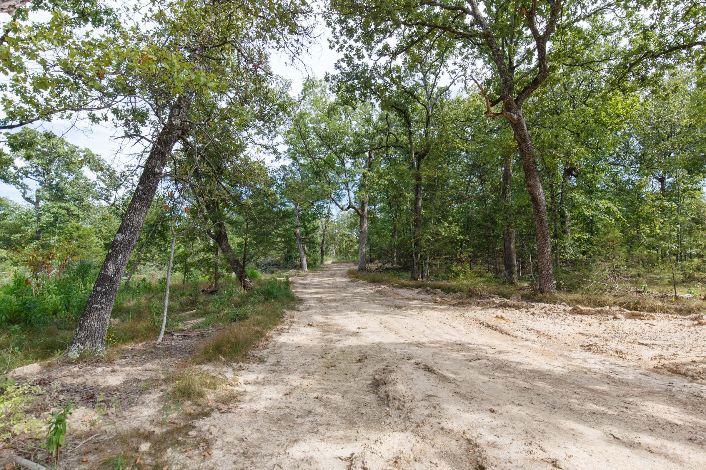 Wildwood Tract 25 photo 2