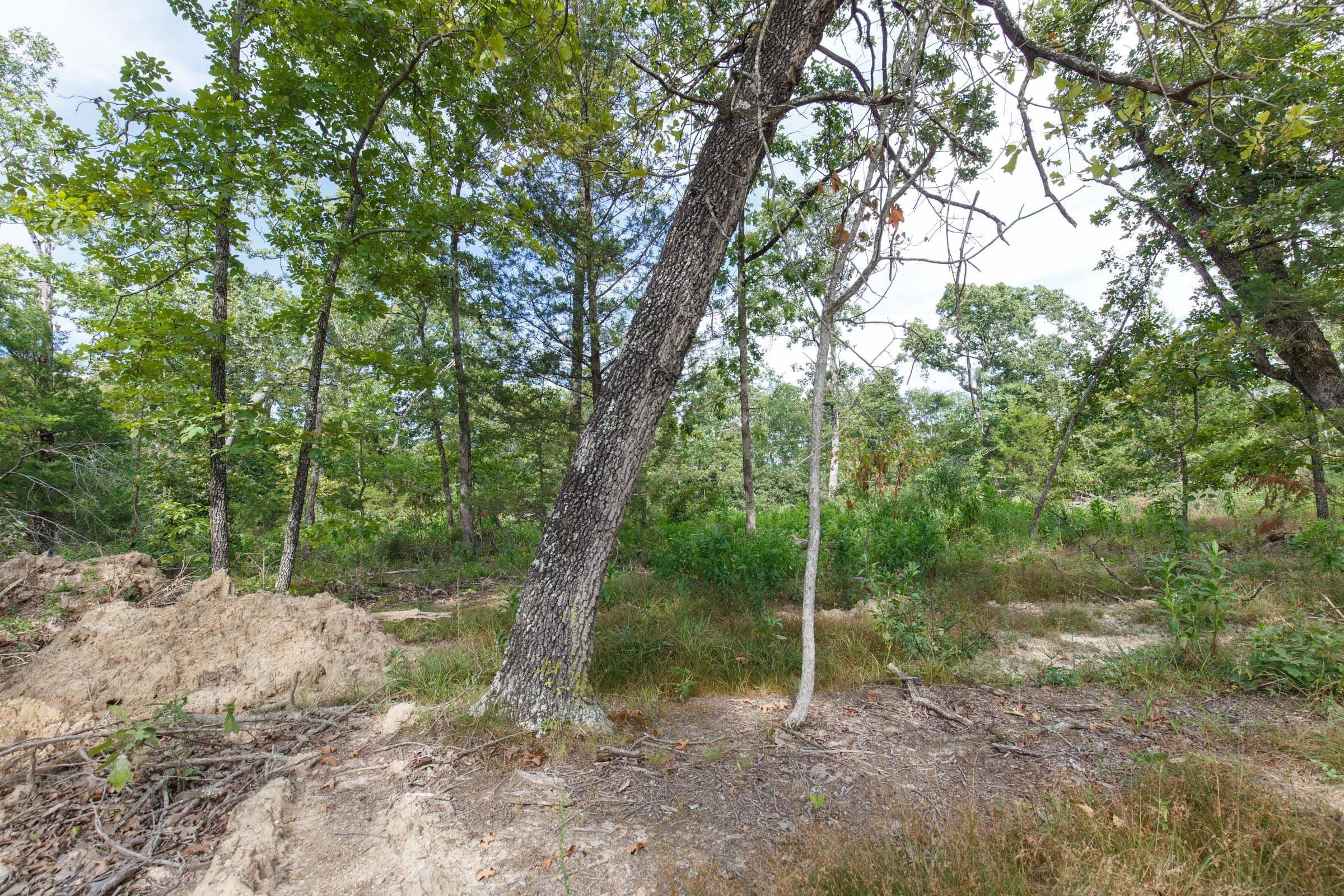Wildwood Tract 25 photo 7