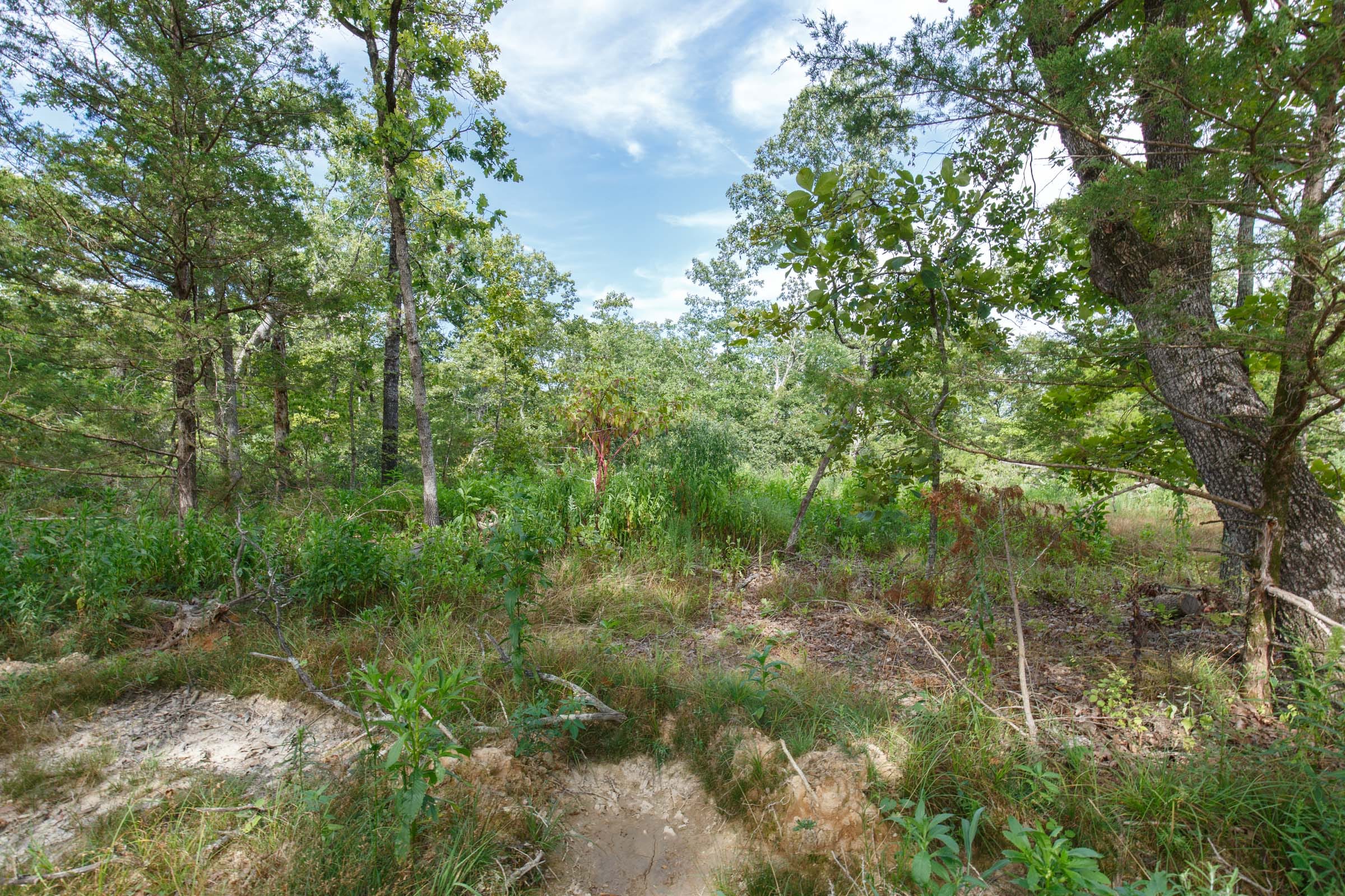 Wildwood Tract 25 photo 5