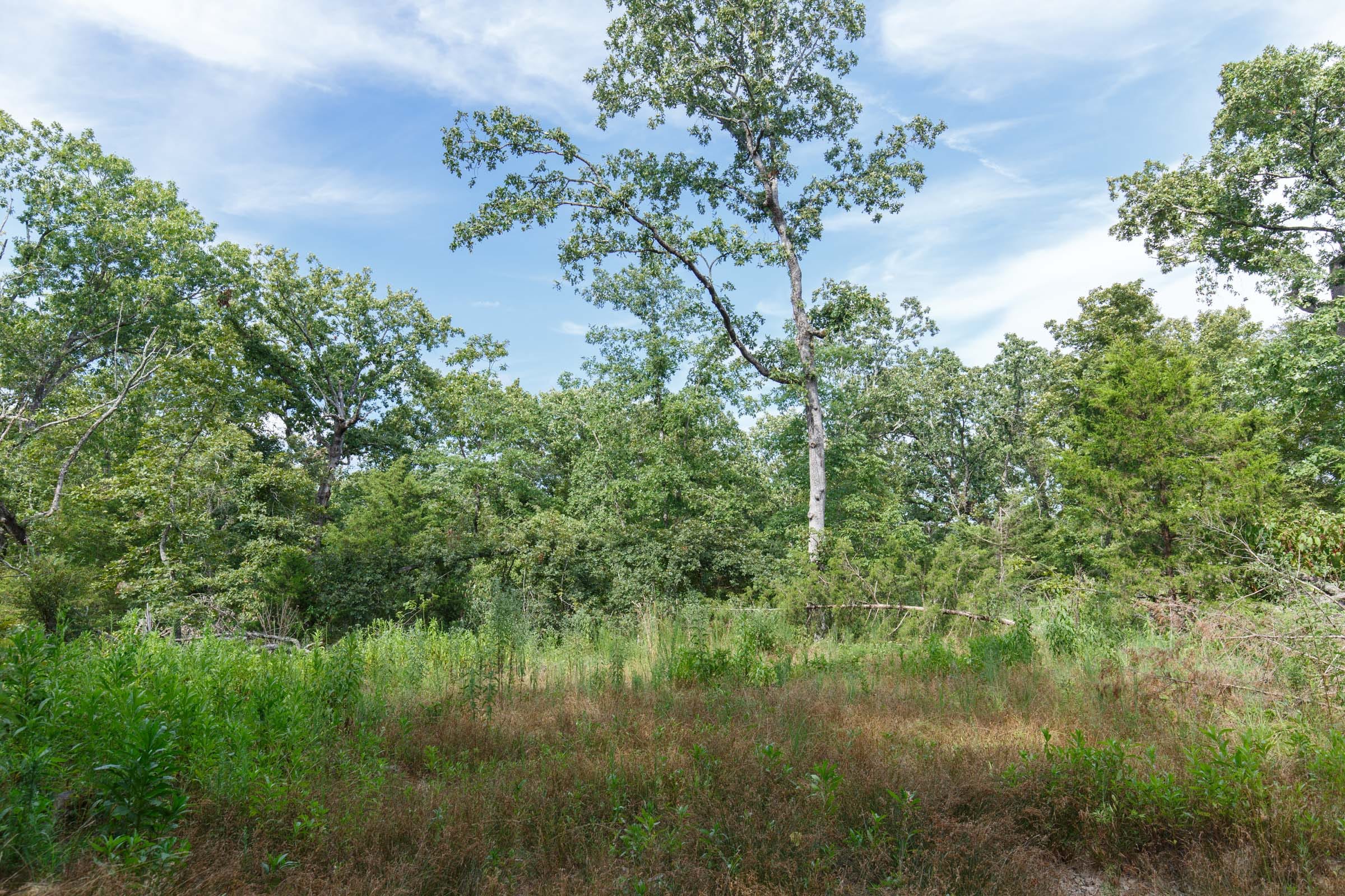 Wildwood Tract 25 photo 4