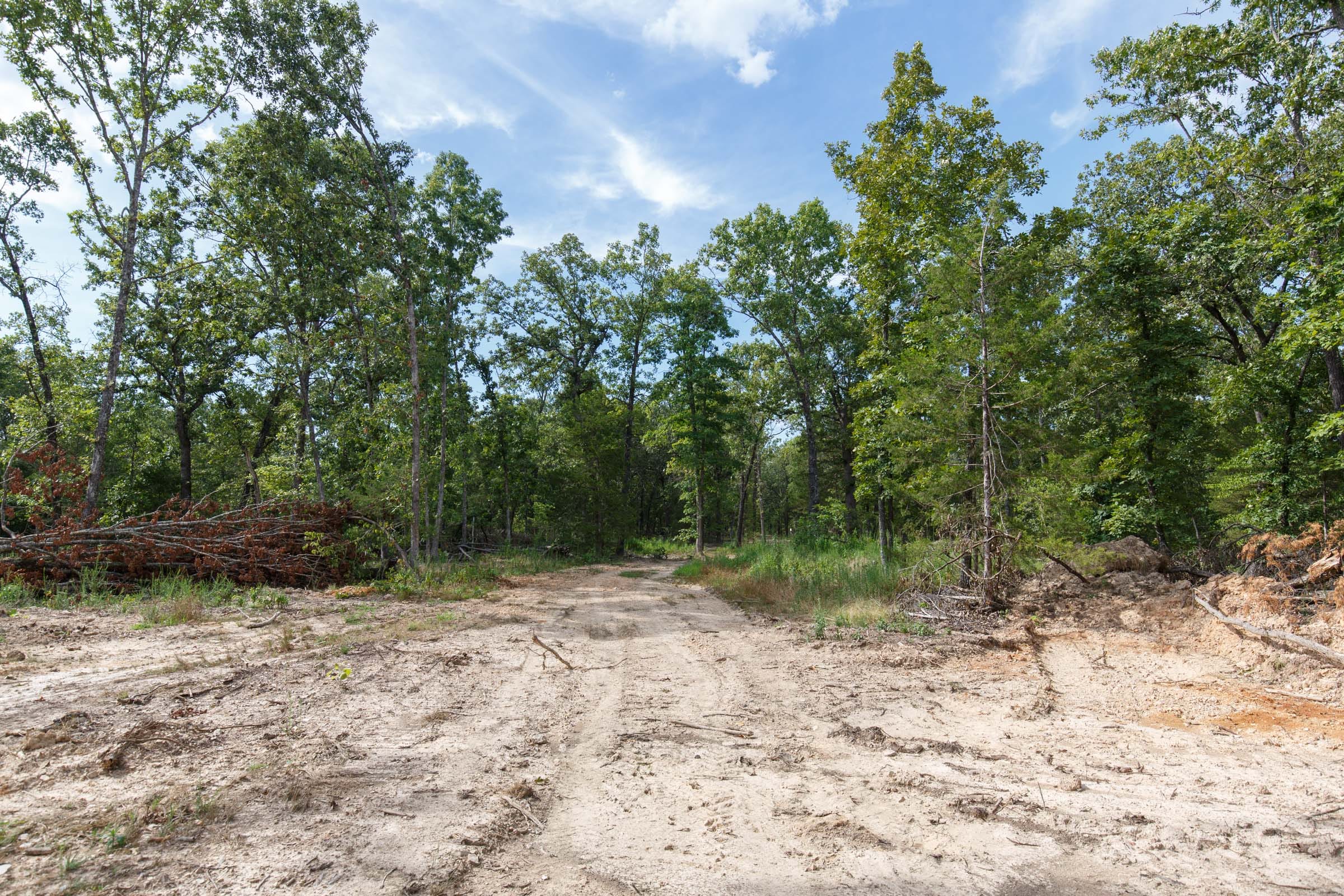 Wildwood Tract 25 photo 6