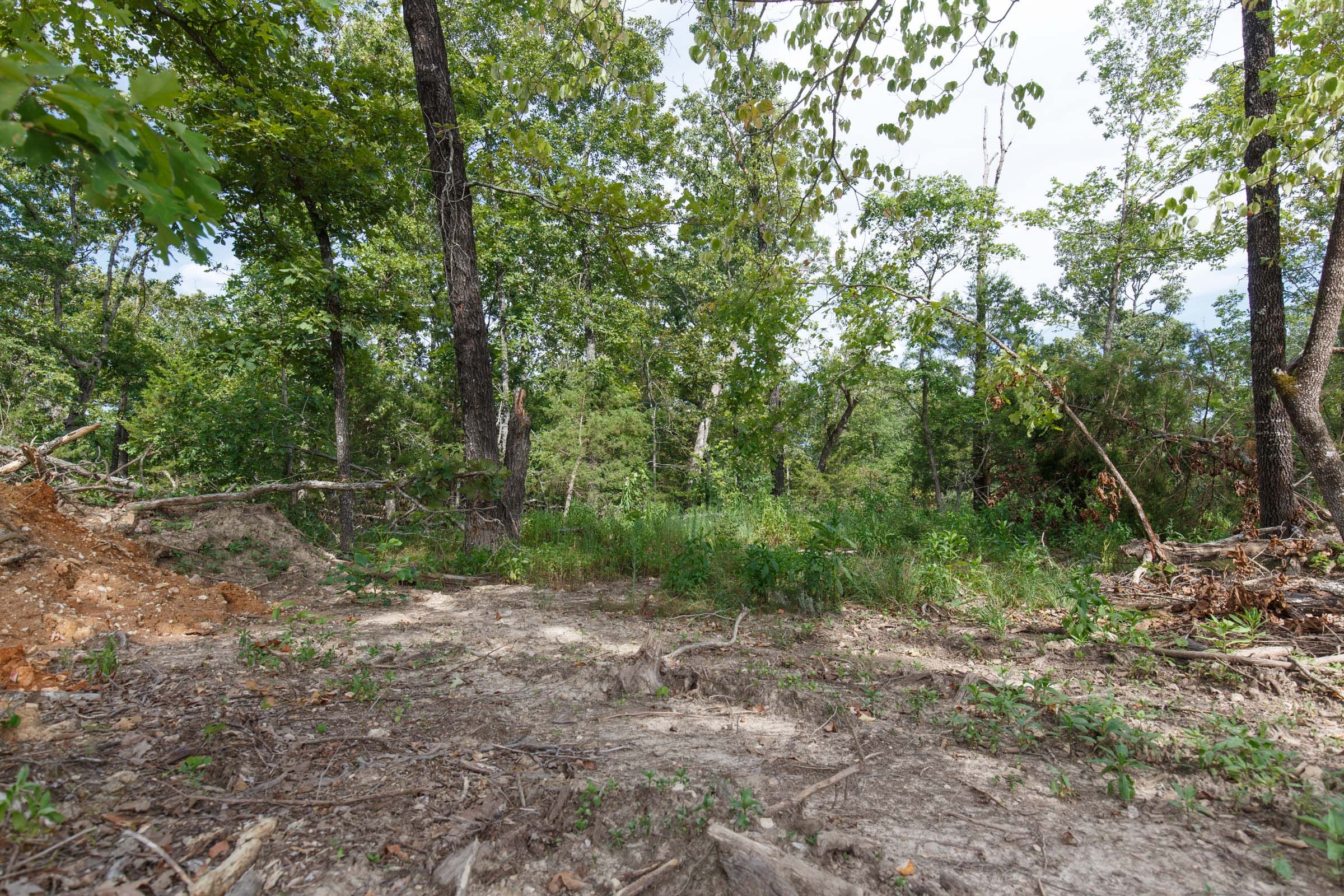 Wildwood Tract 25 photo 9