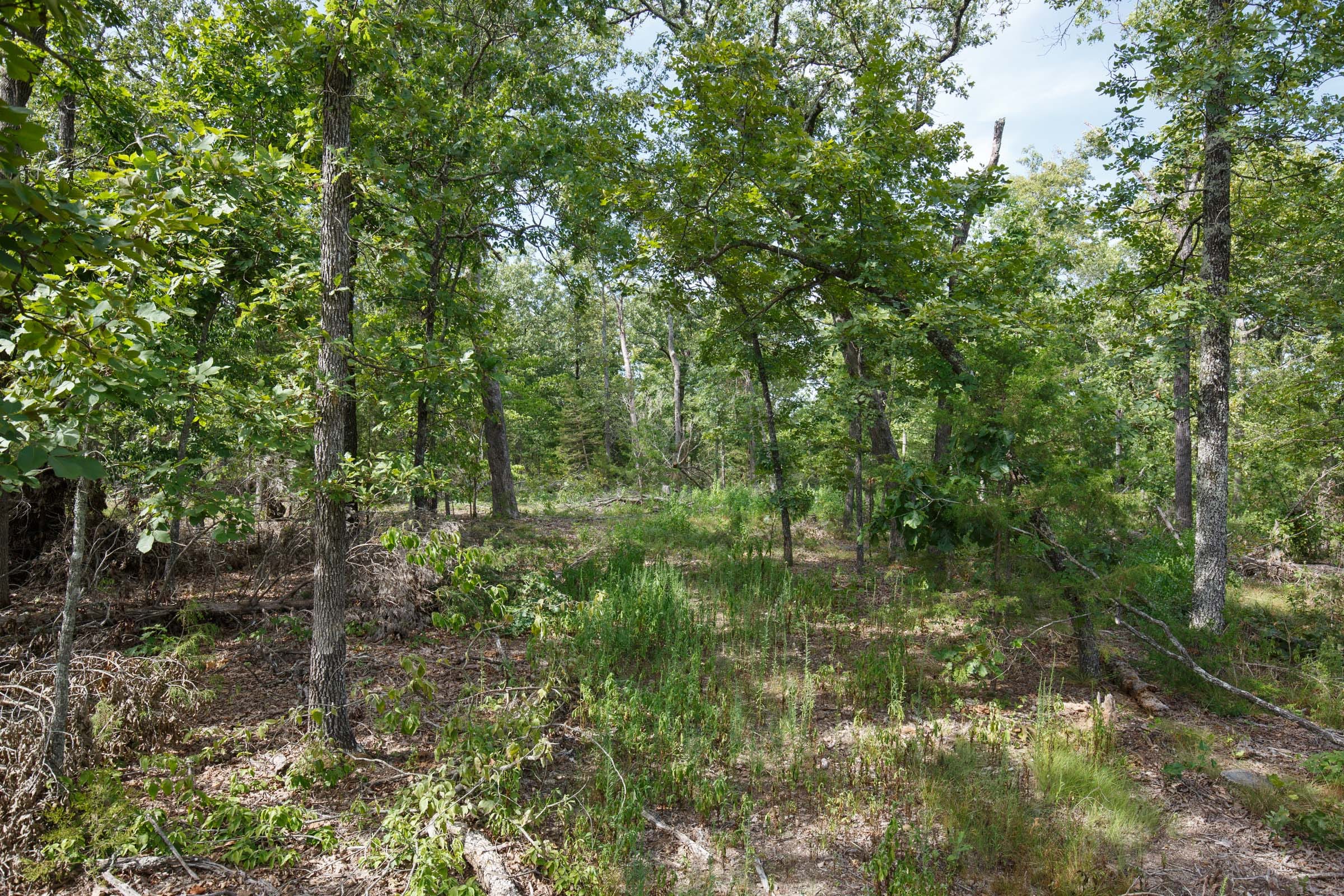 Wildwood Tract 25 photo 10