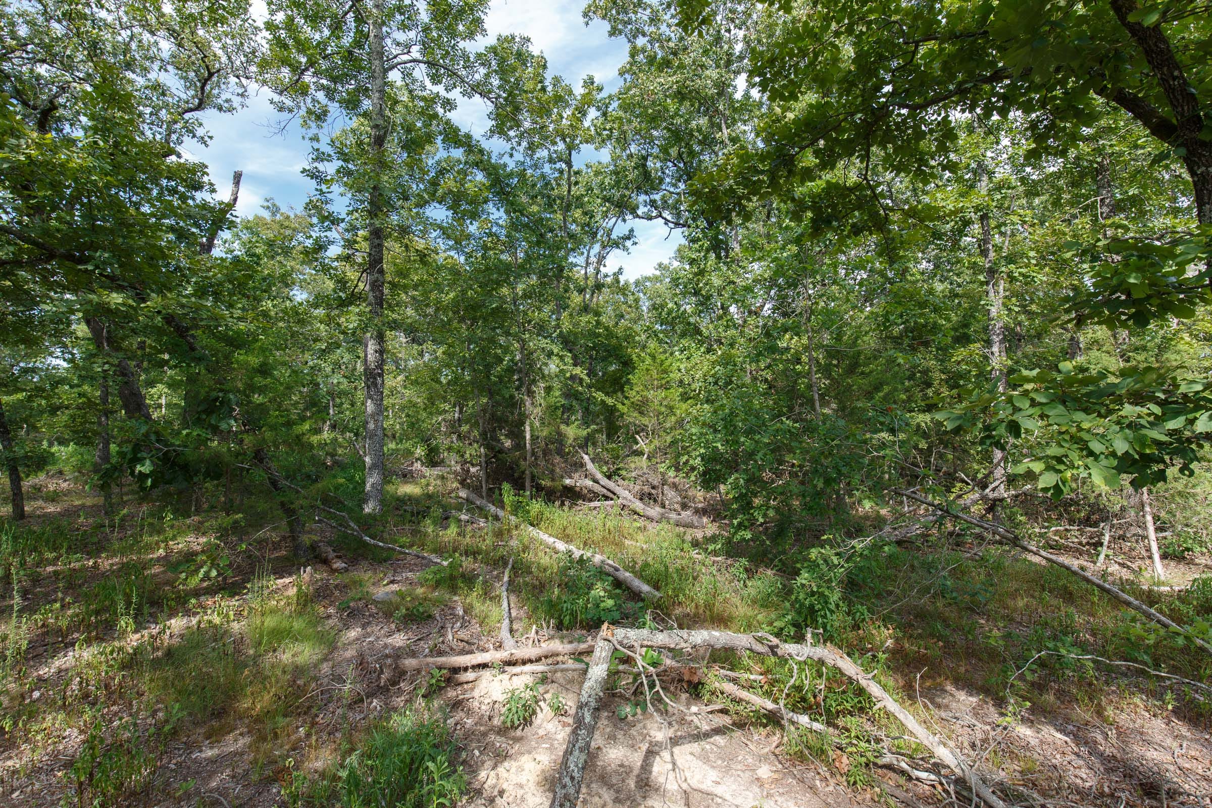 Wildwood Tract 25 photo 8