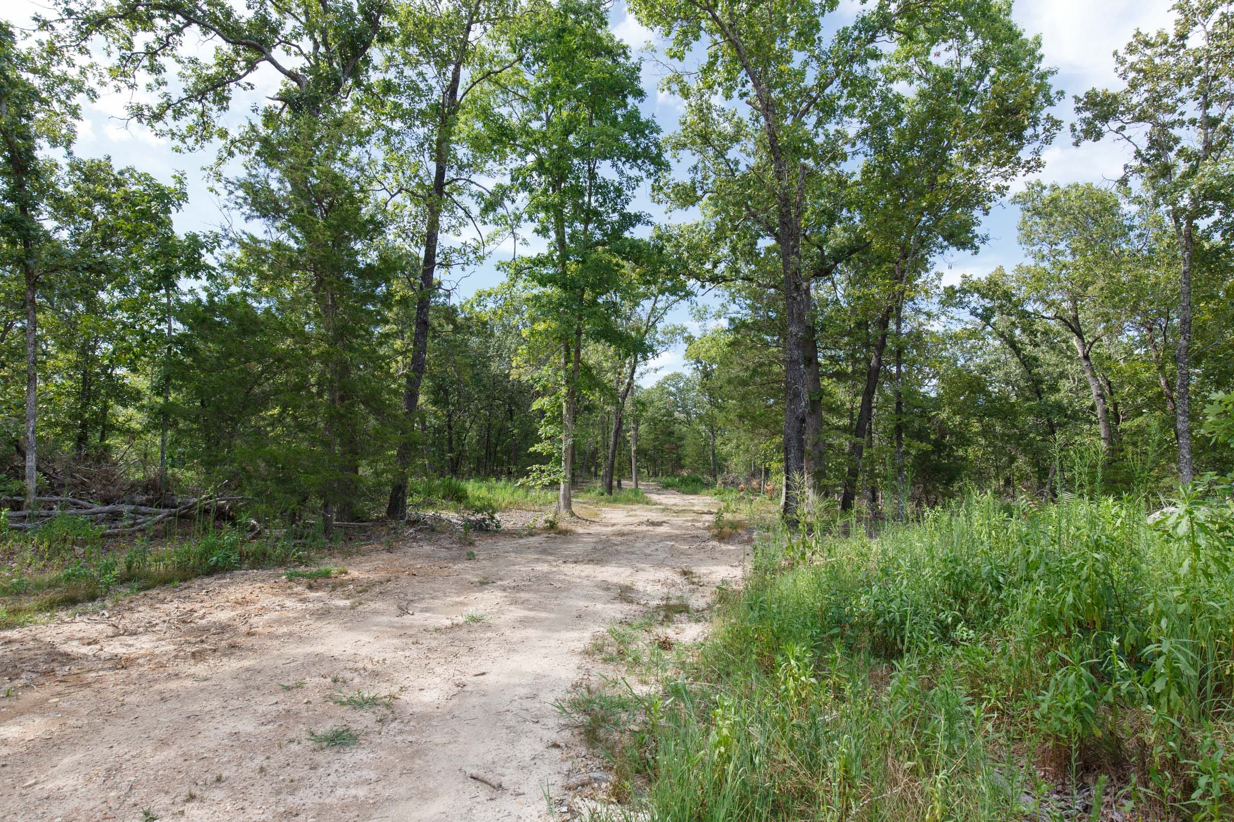 Wildwood Tract 25 photo 11