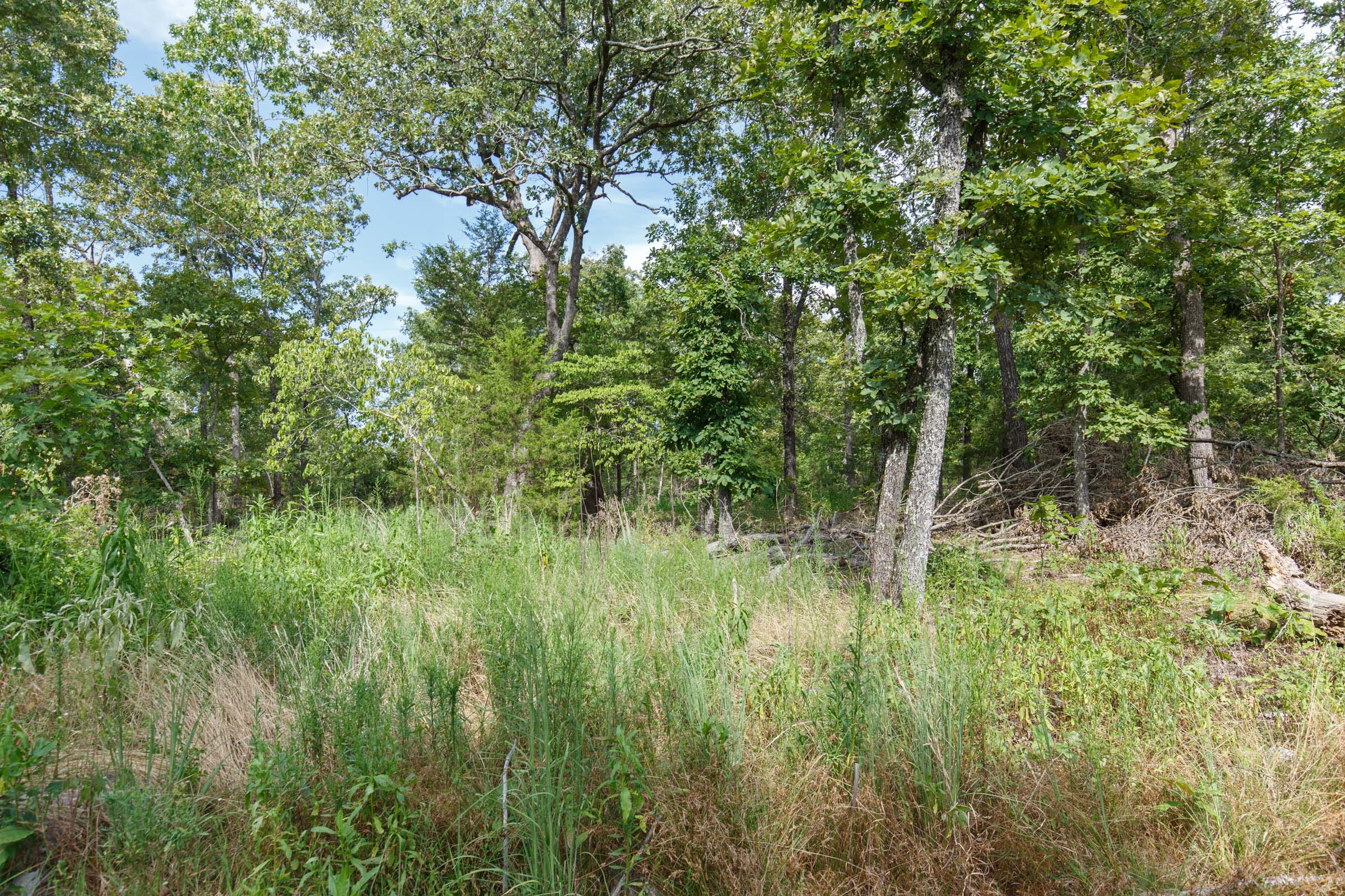 Wildwood Tract 25 photo 13