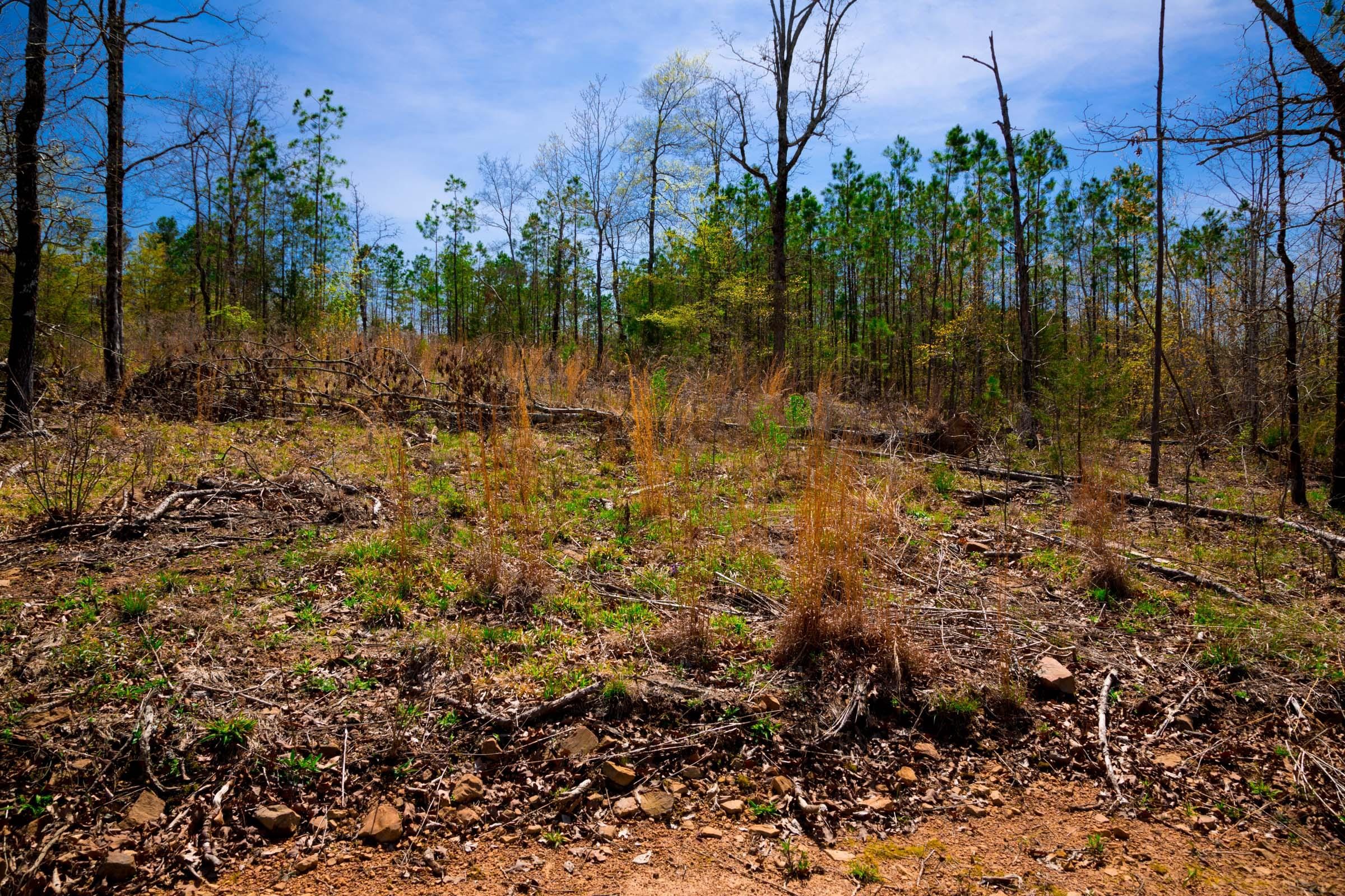 Stone Creek Phase II Tract 220 photo 3