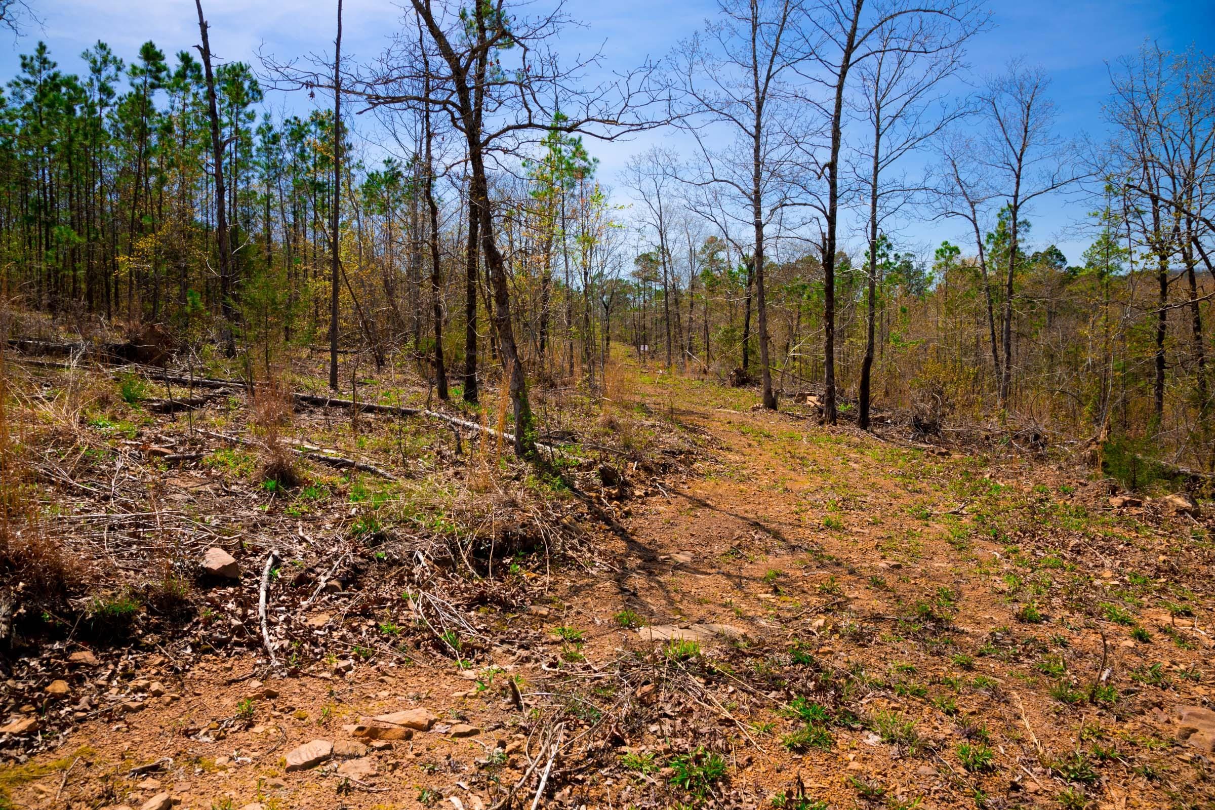 Stone Creek Phase II Tract 220 photo 4