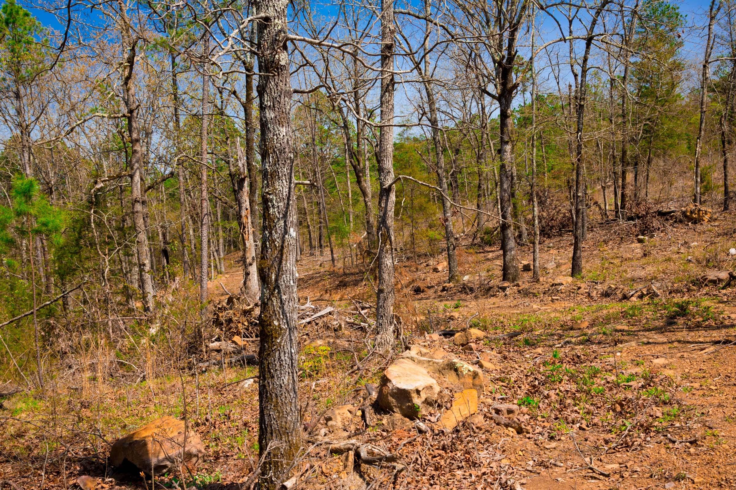 Stone Creek Phase II Tract 220 photo 5