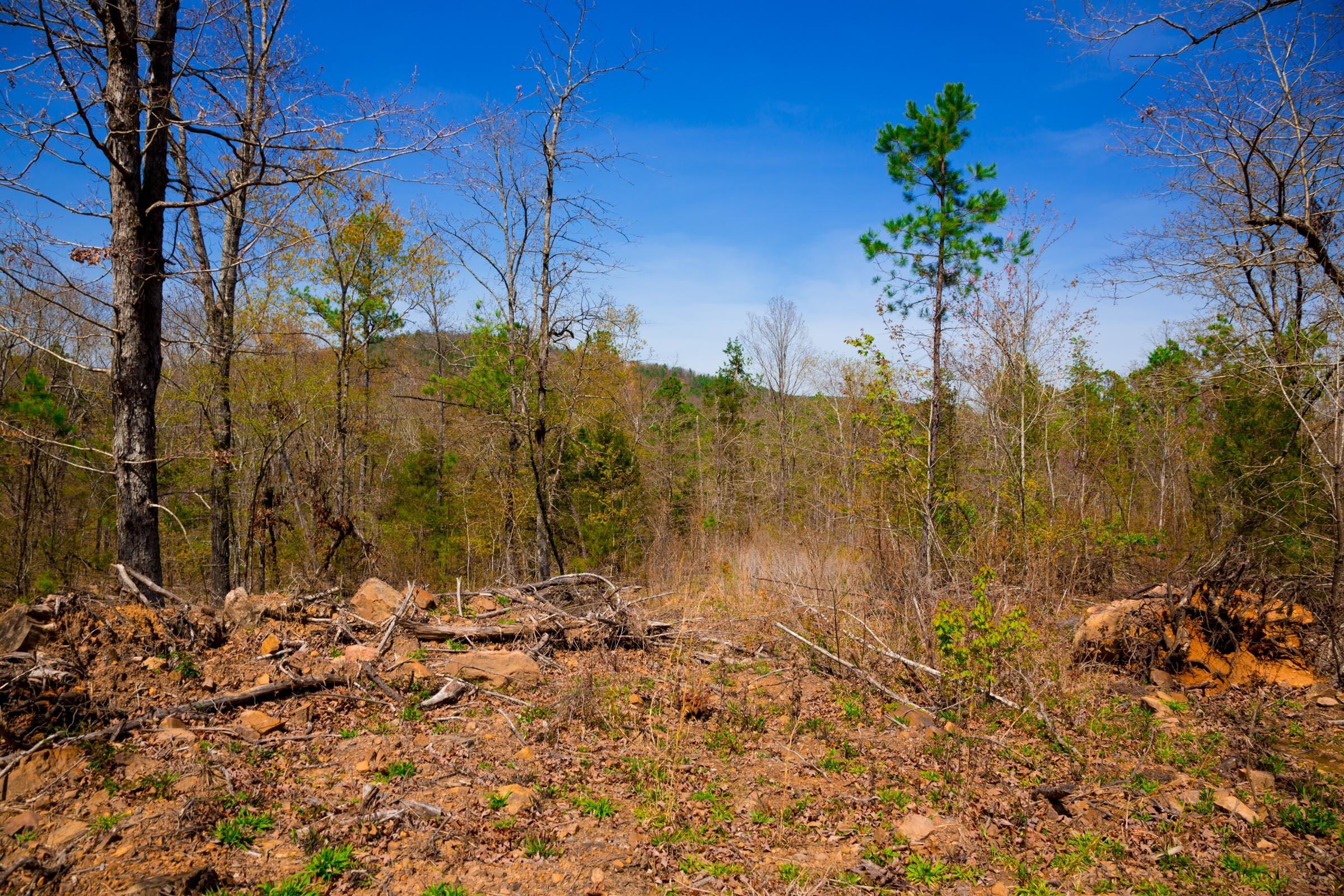 Stone Creek Phase II Tract 220 photo 6