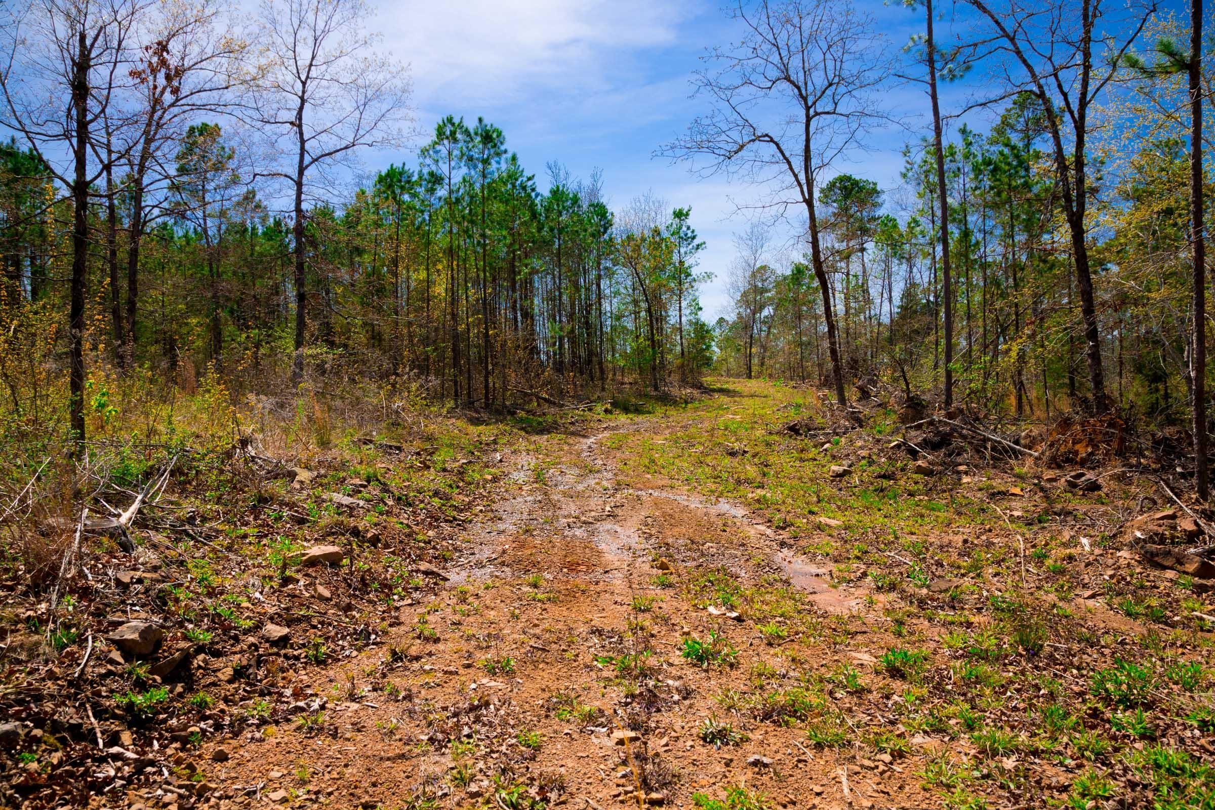 Stone Creek Phase II Tract 220 photo 2