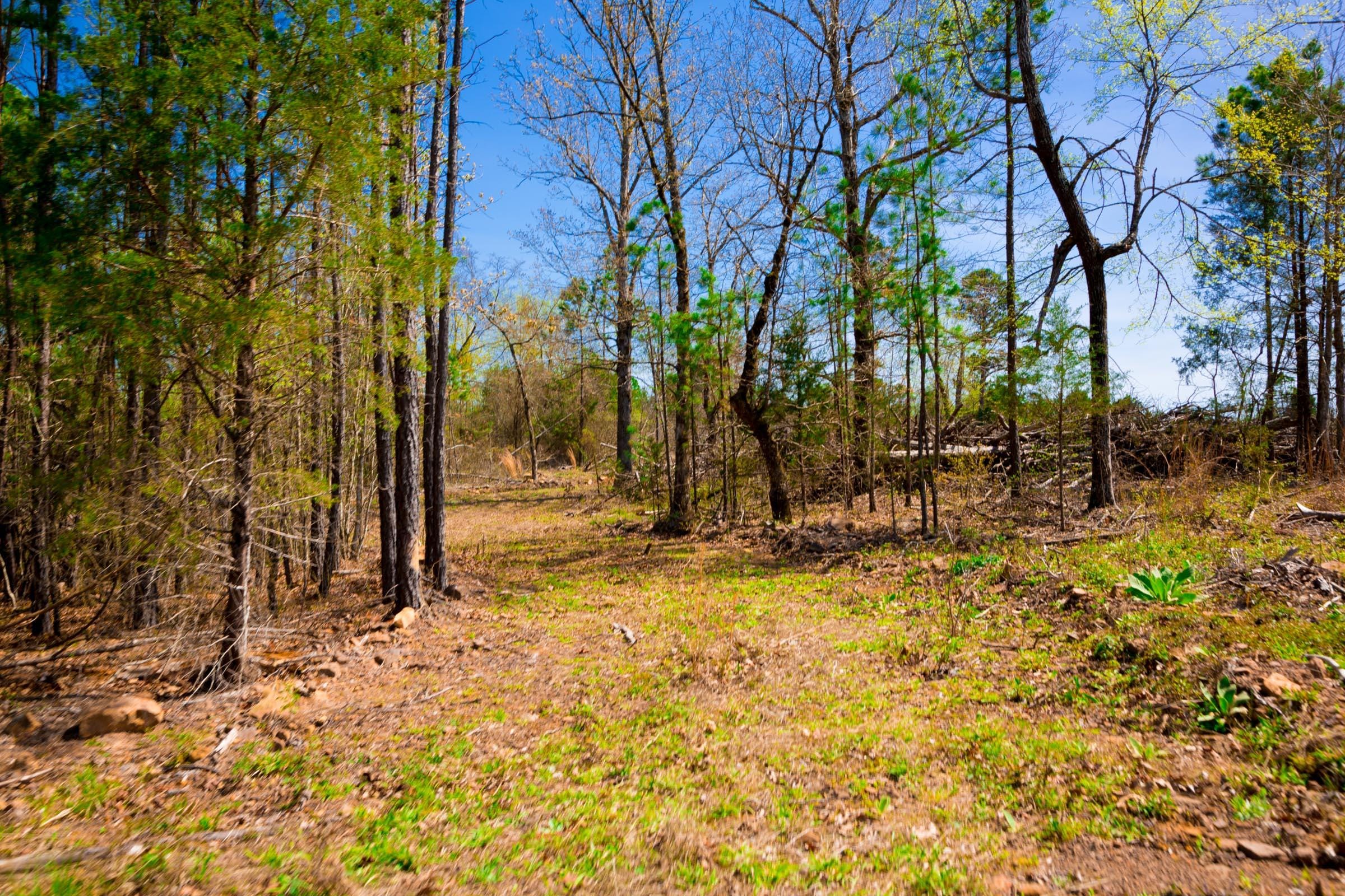 Stone Creek Phase II Tract 220 photo 7