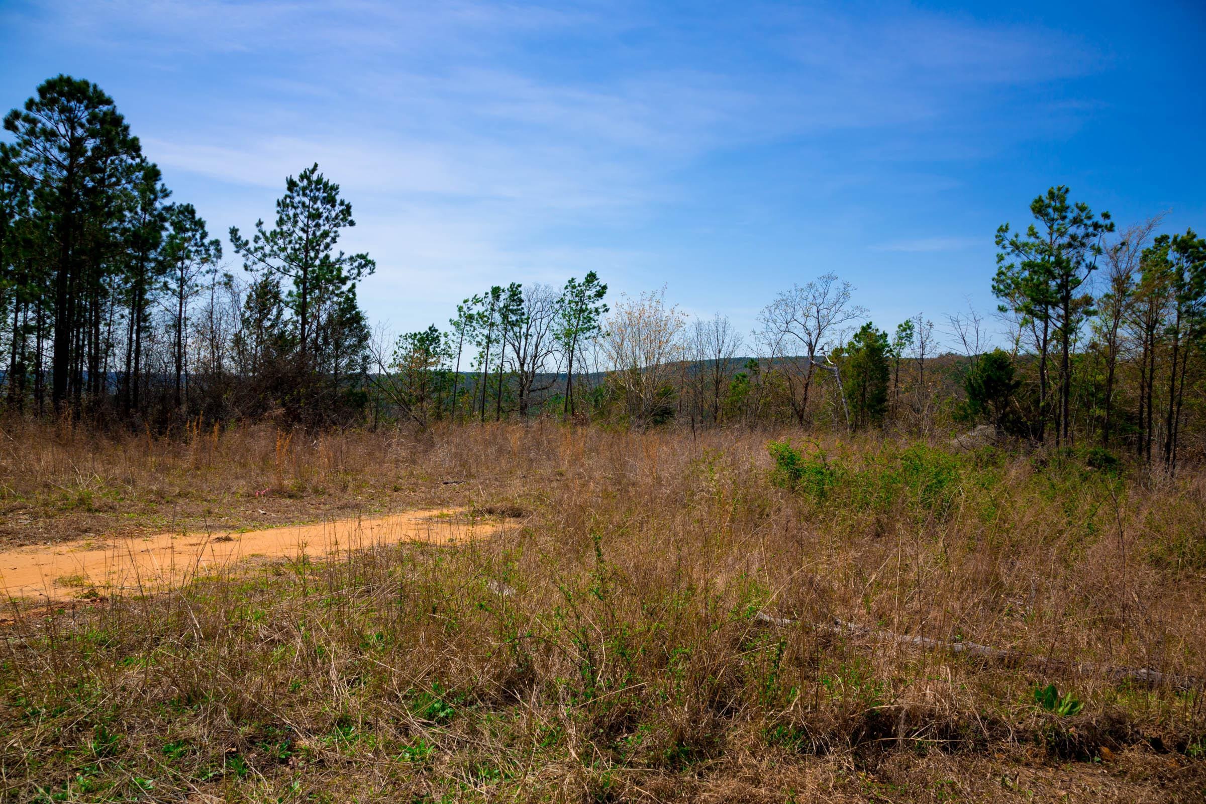 Stone Creek Phase II Tract 220 photo 8