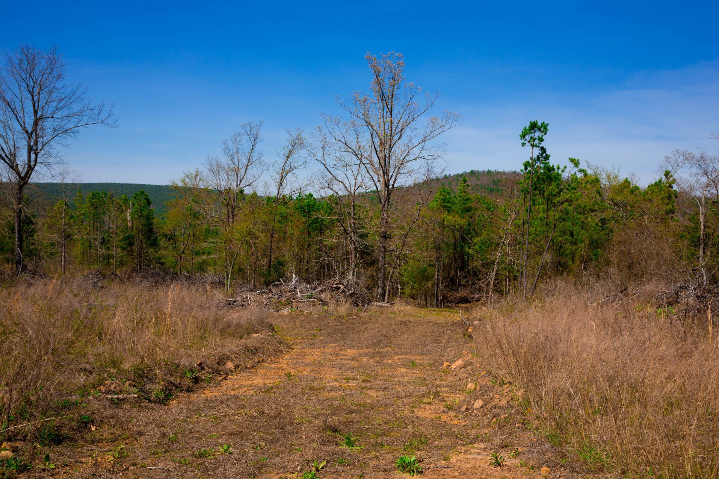 Stone Creek Phase II Tract 220 photo 9