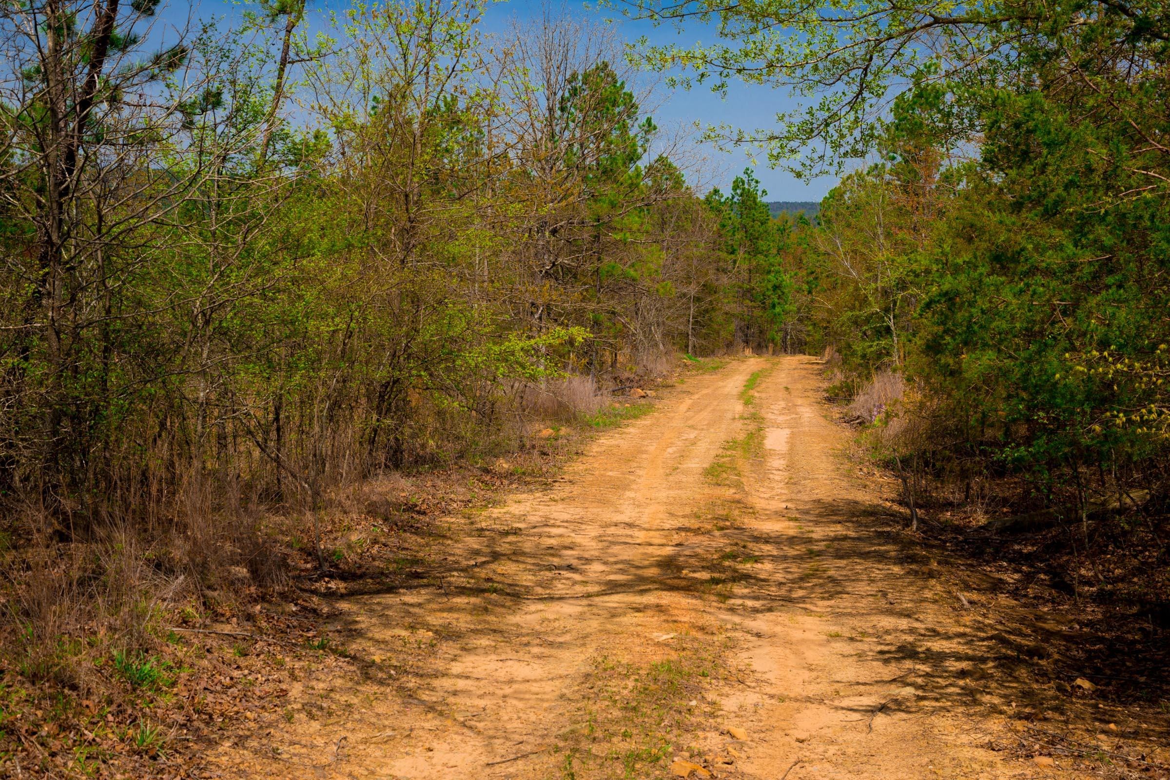 Stone Creek Phase II Tract 220 photo 11