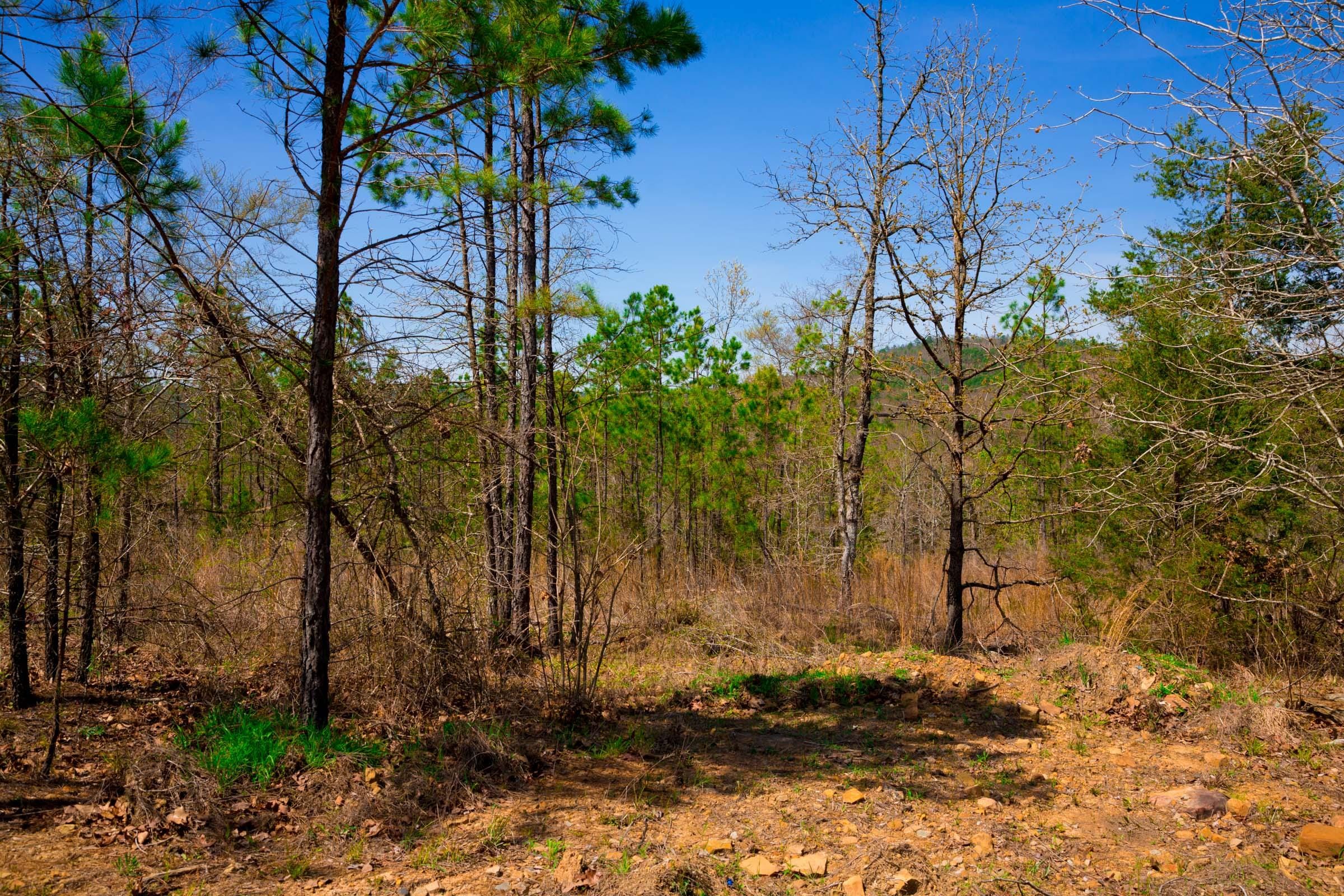 Stone Creek Phase II Tract 220 photo 12