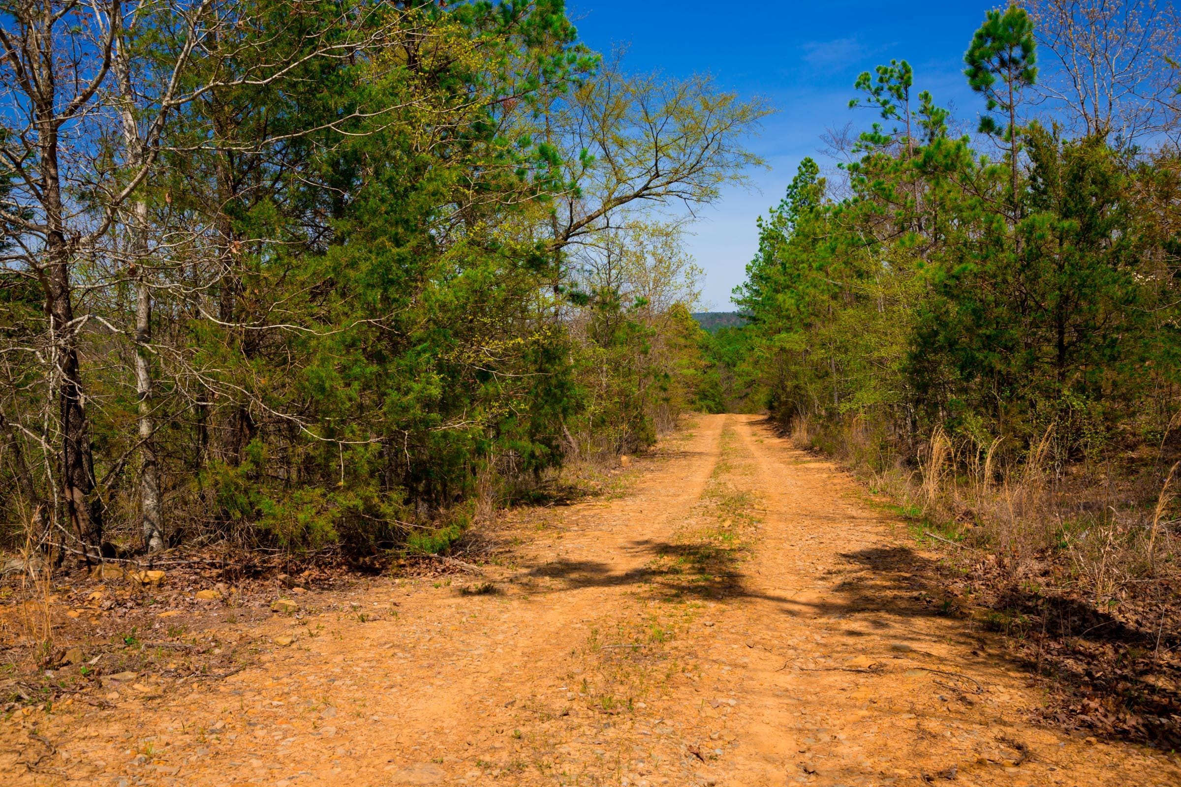 Stone Creek Phase II Tract 220 photo 13