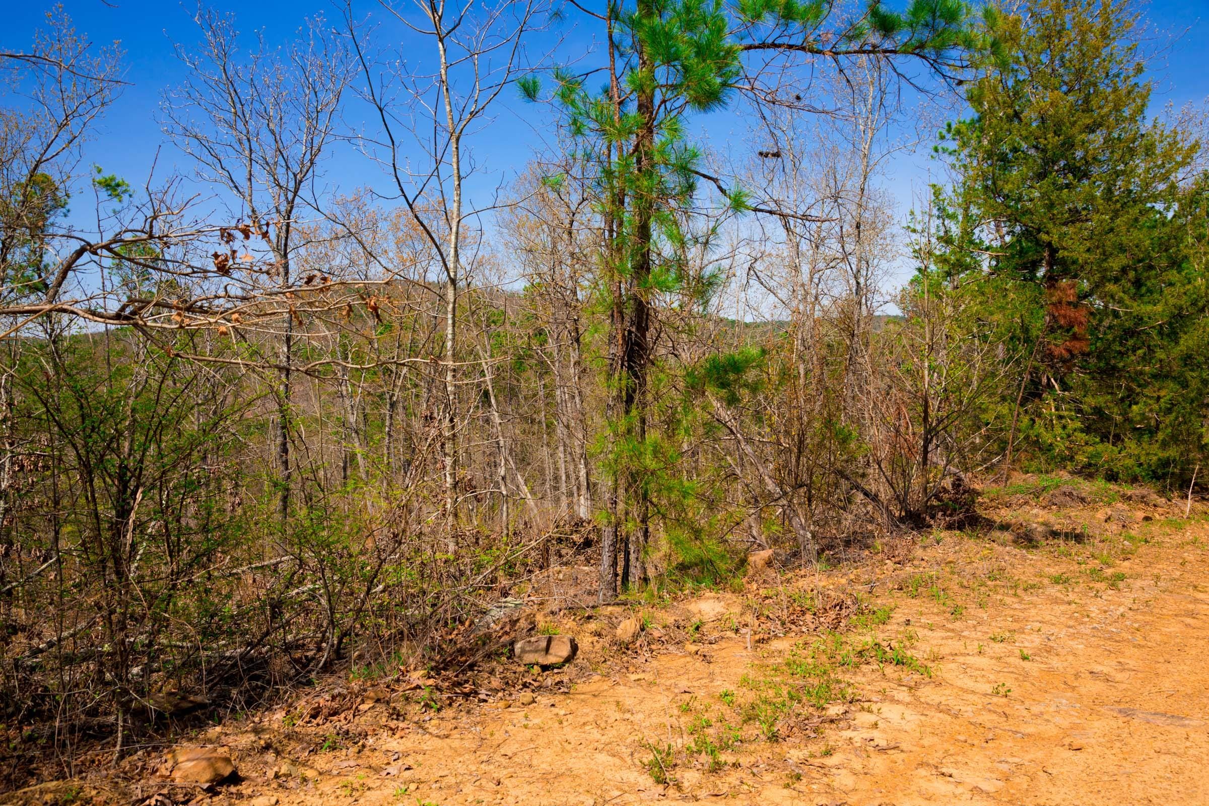 Stone Creek Phase II Tract 220 photo 14