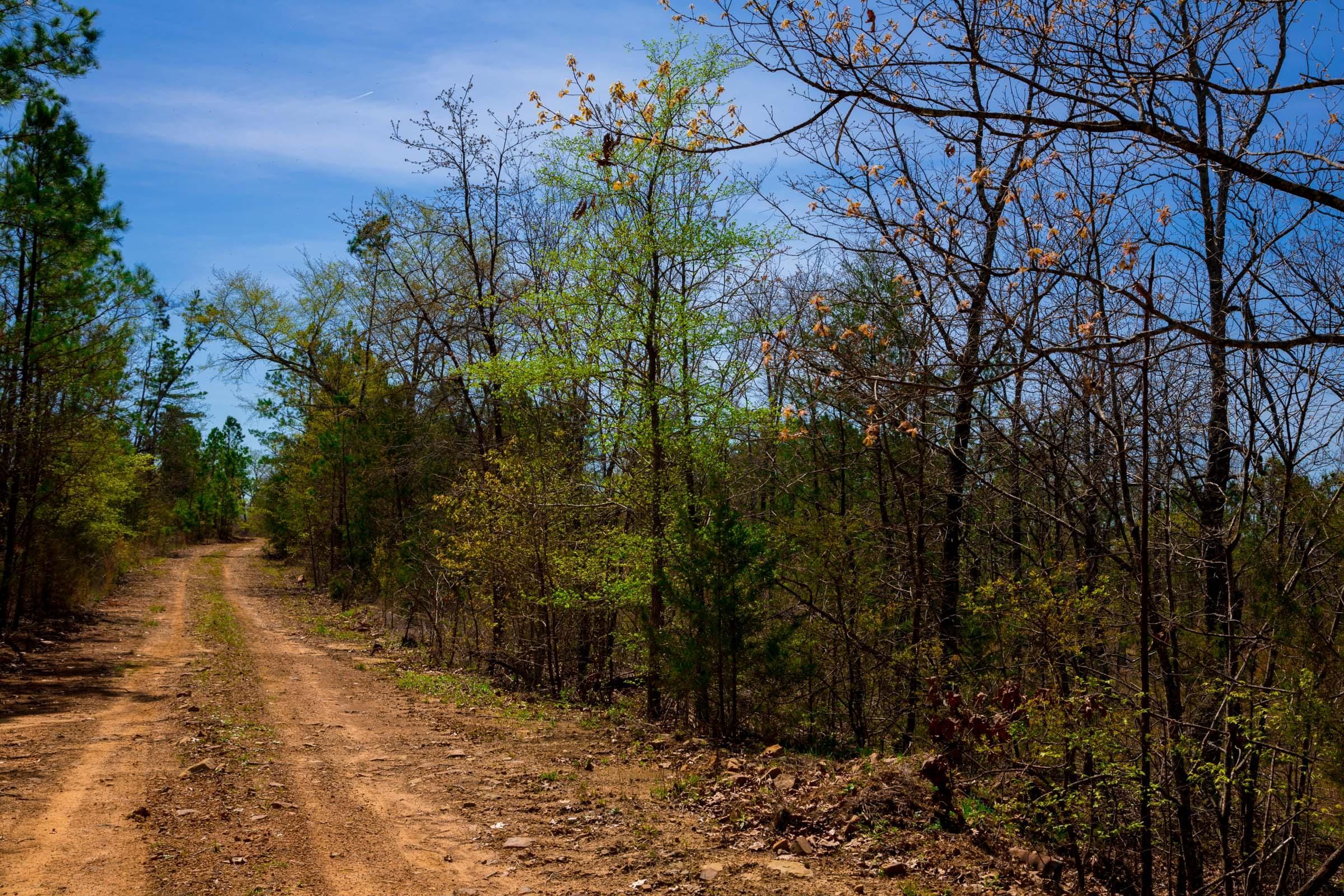 Stone Creek Phase II Tract 220 photo 15