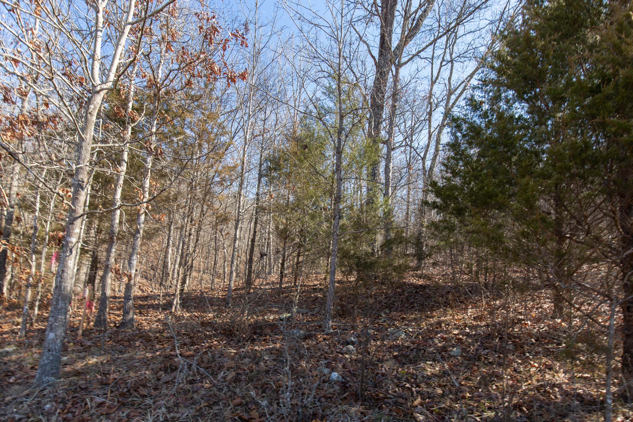 O’Connor Crossing Tract 24 photo 2