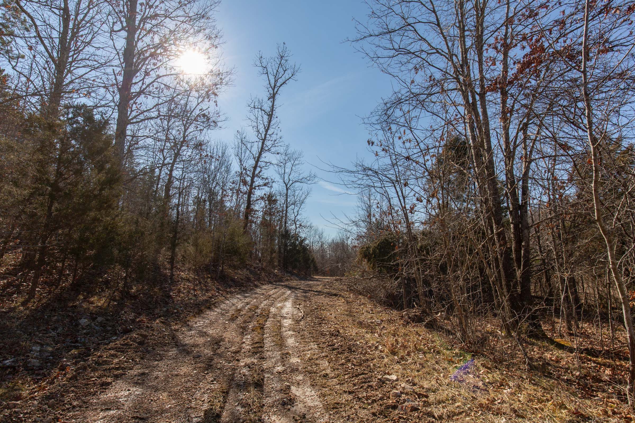 O’Connor Crossing Tract 24 photo 6