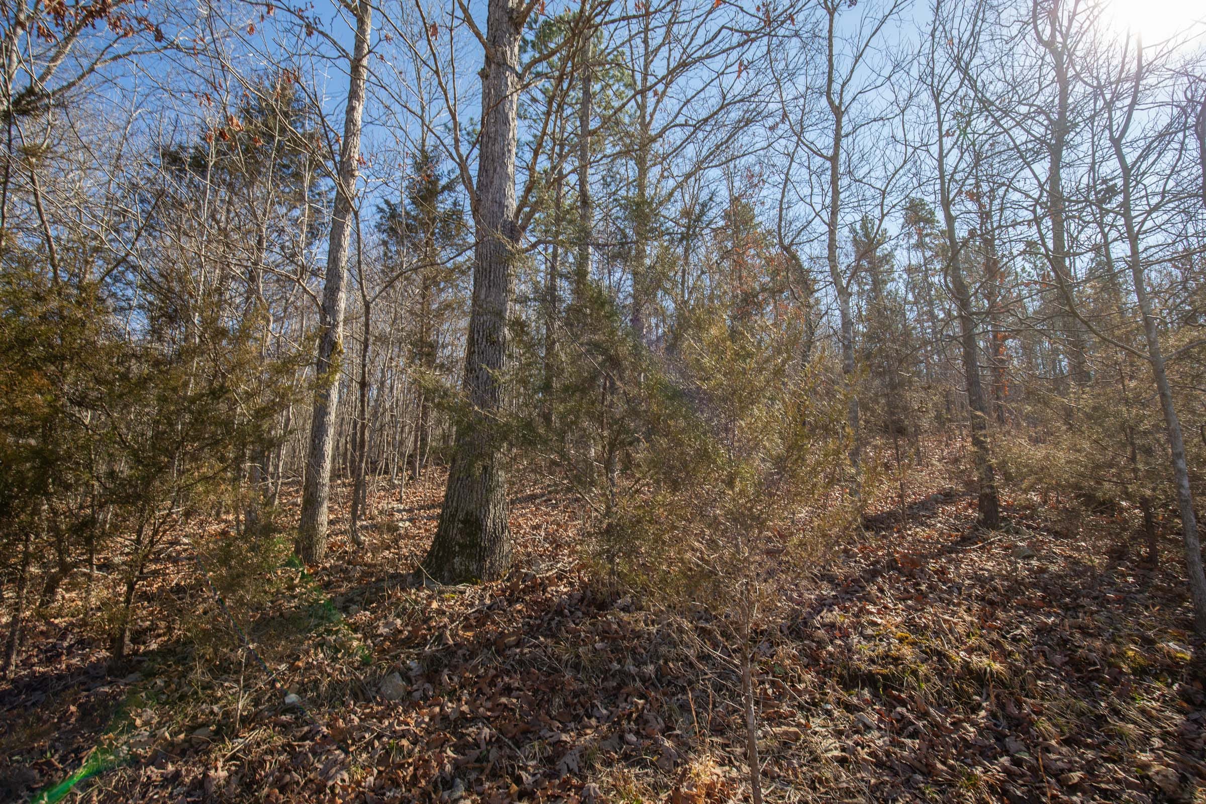 O’Connor Crossing Tract 24 photo 4
