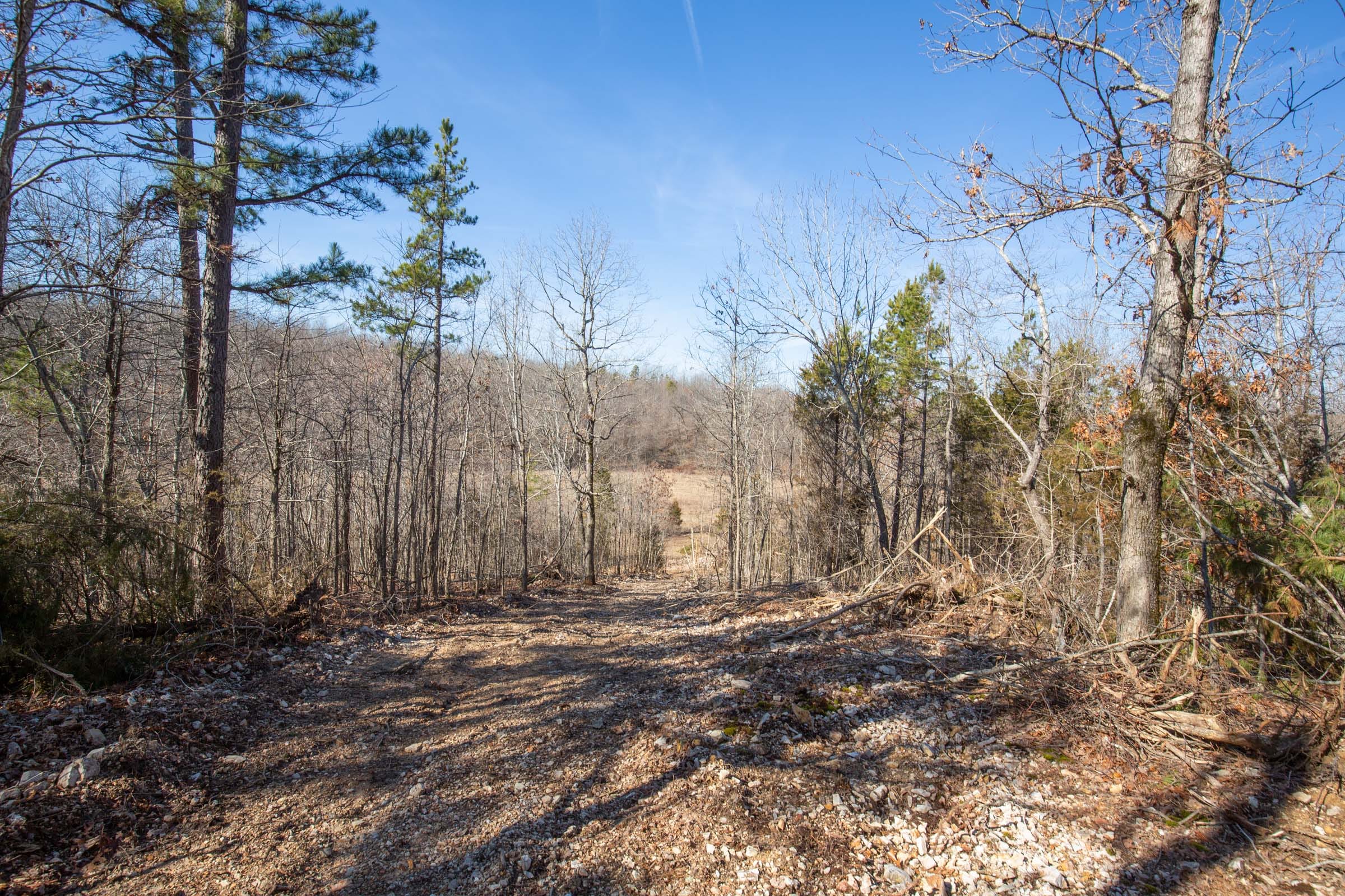 O’Connor Crossing Tract 24 photo 5