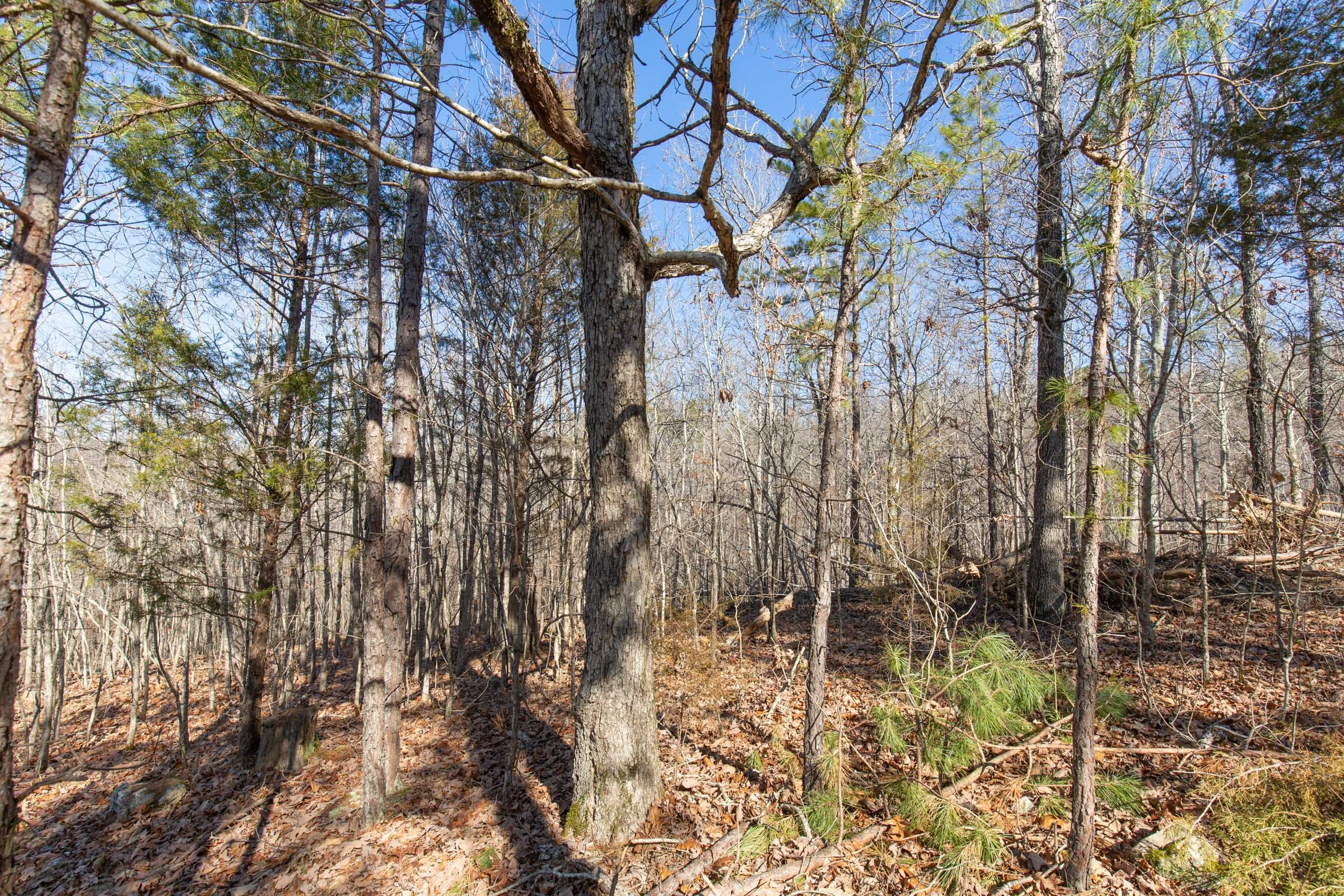 O’Connor Crossing Tract 24 photo 3