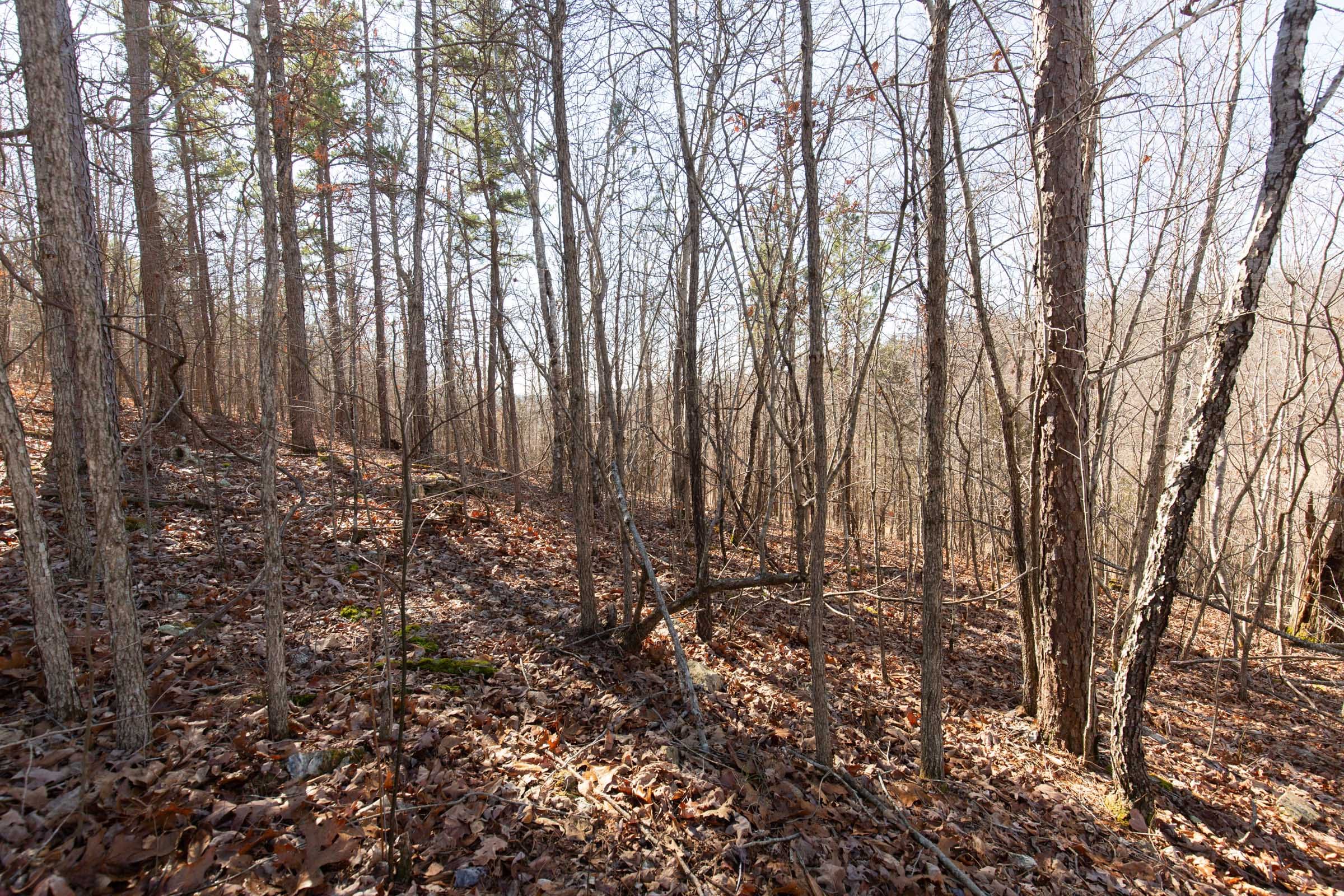 O’Connor Crossing Tract 24 photo 7